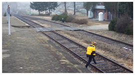 Applsci 11 06153 i001