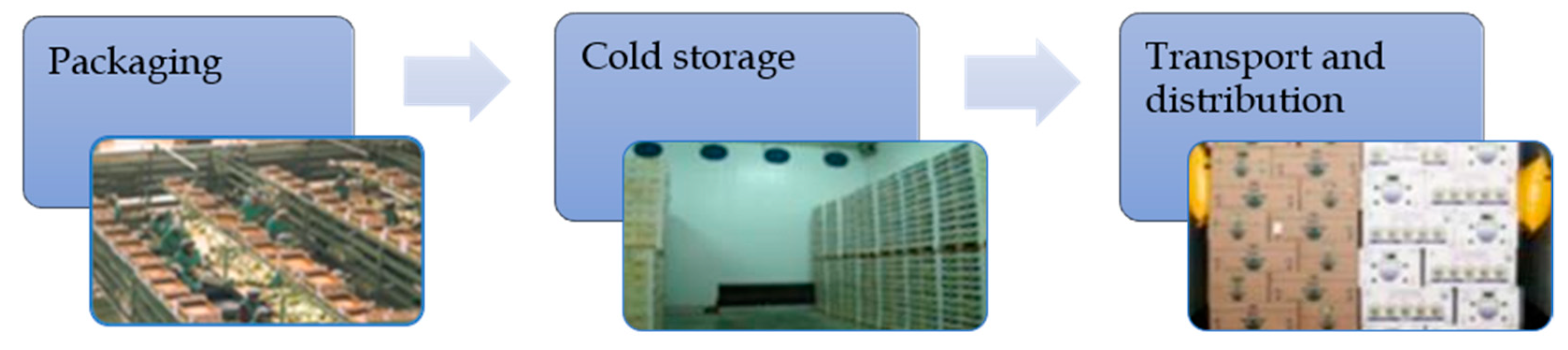 Applsci 11 06183 g011