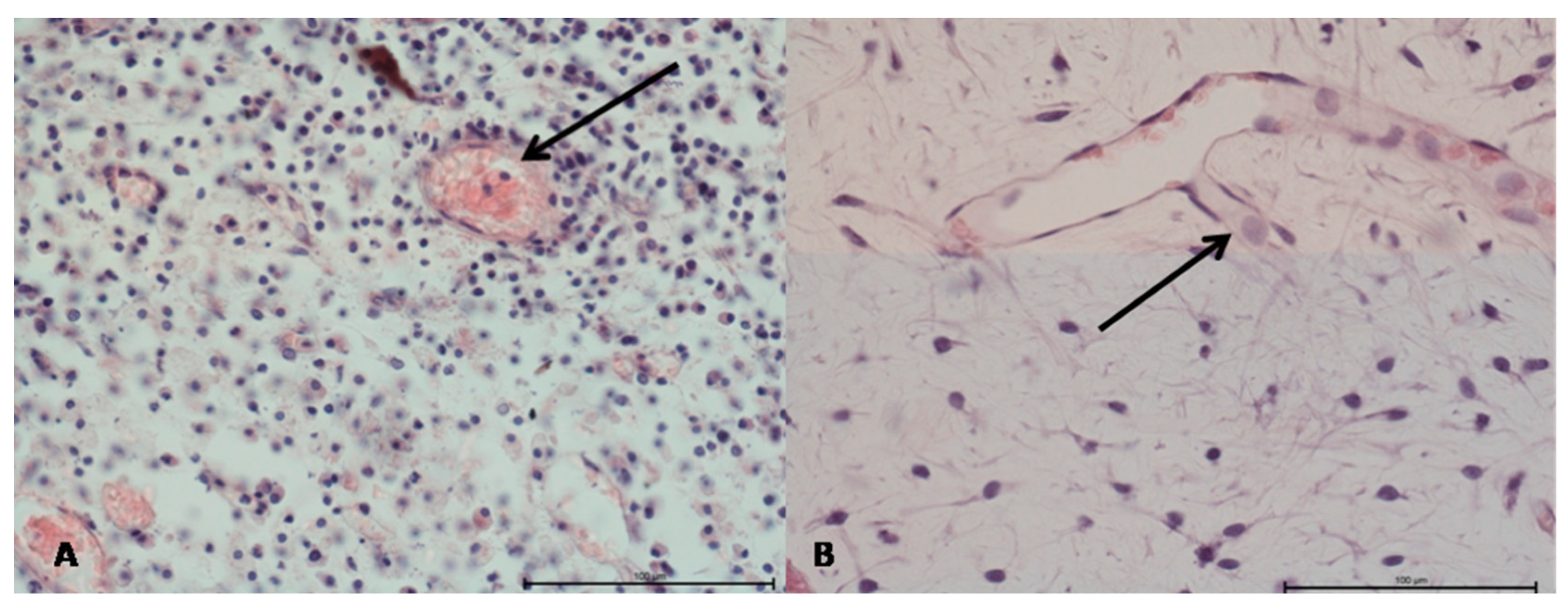 Applsci 11 06211 g002 Applsci 11 06211 g002