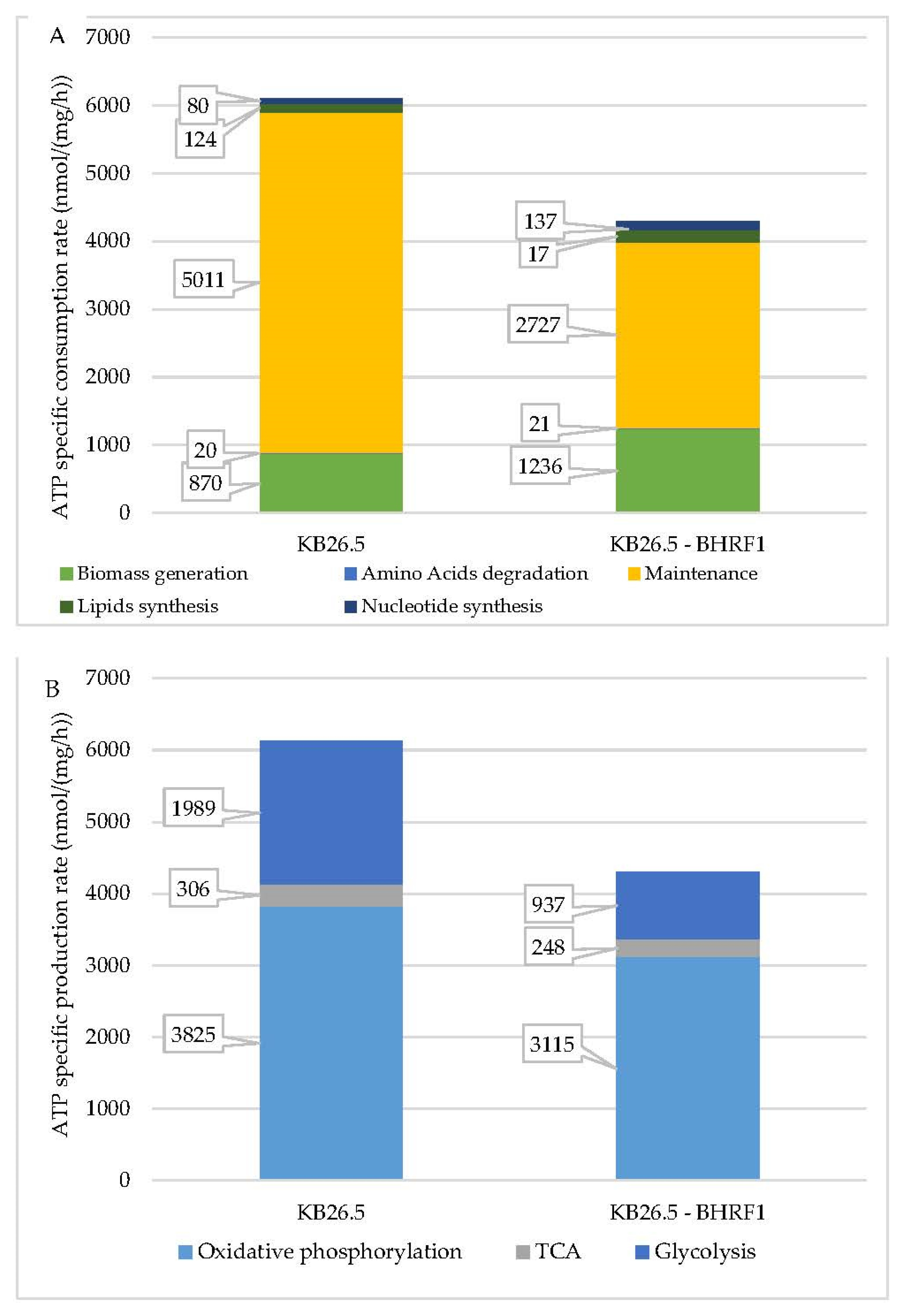 Applsci 11 06258 g006