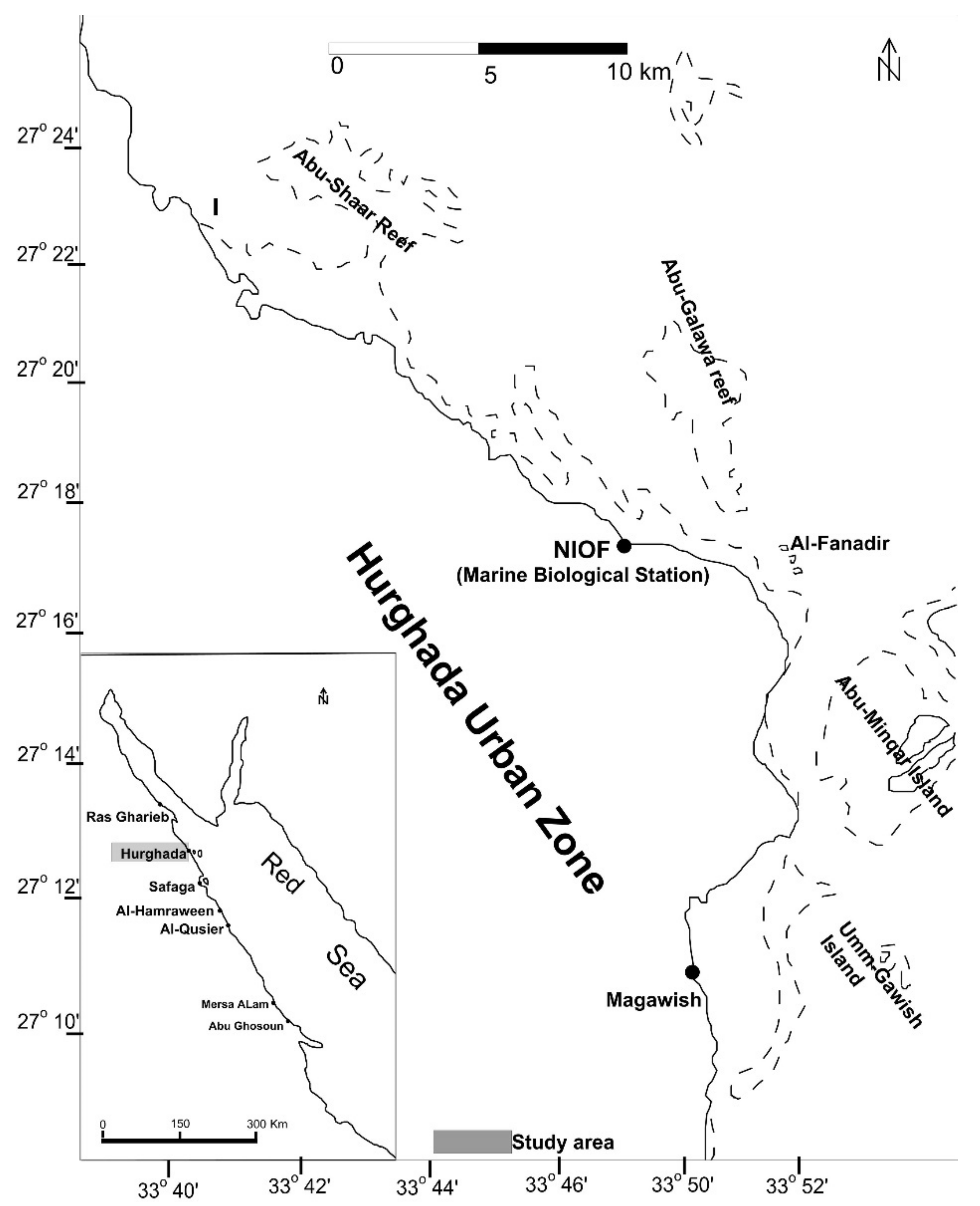 Applsci 11 06290 g002 Applsci 11 06290 g002