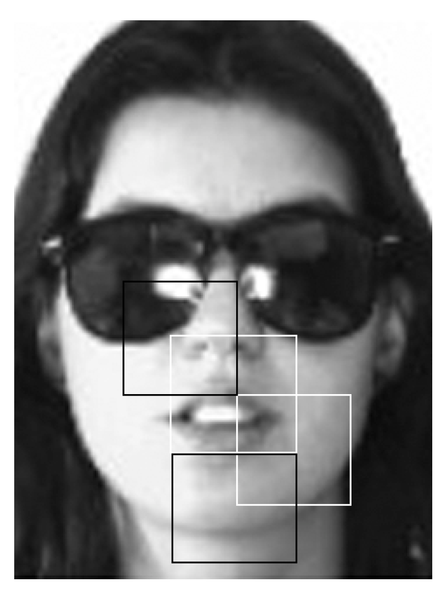 Applsci 11 06303 g002