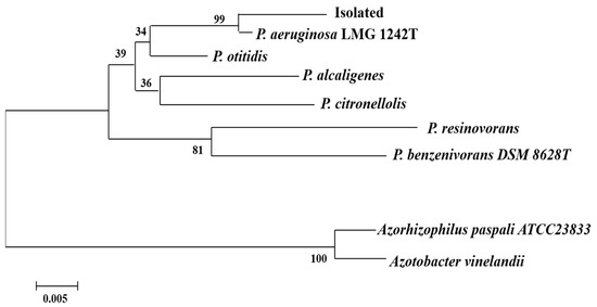 Applsci 11 06305 g0a1 550