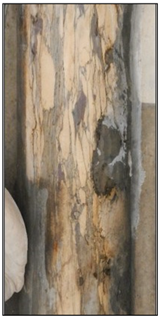 Applsci 11 06329 i012