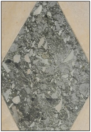 Applsci 11 06329 i013