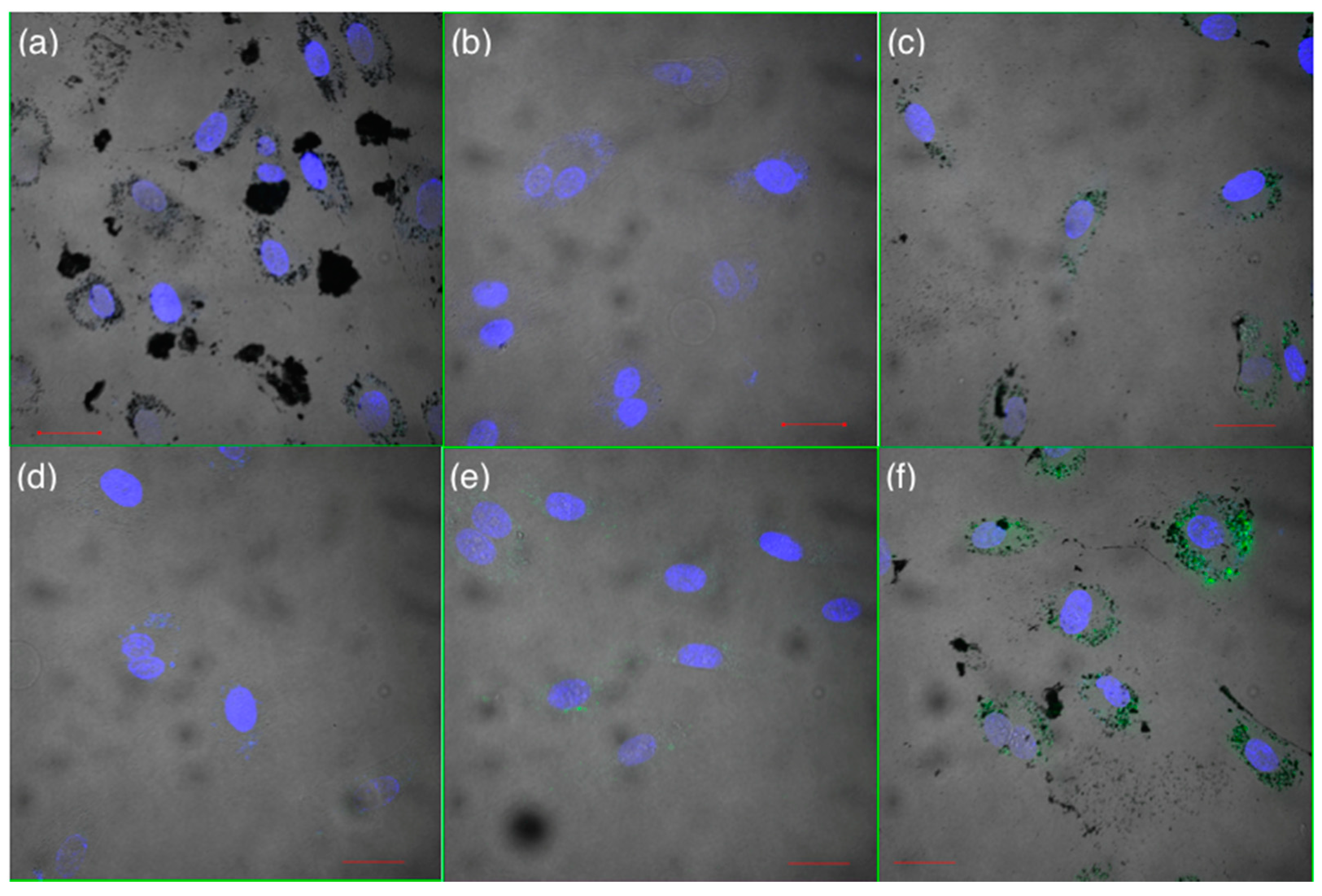 Applsci 11 06333 g010