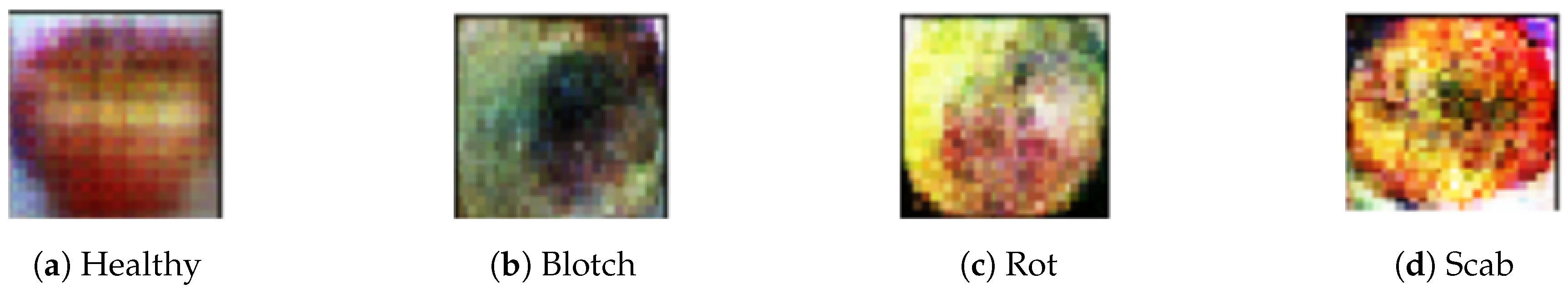 Applsci 11 06422 g003