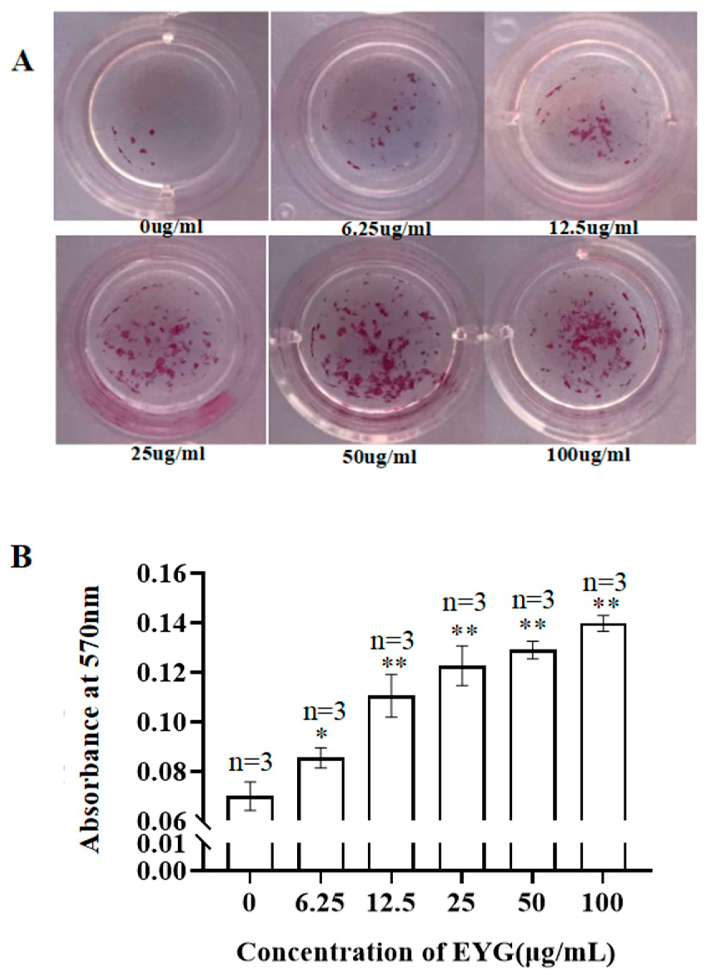 Applsci 11 06428 g002