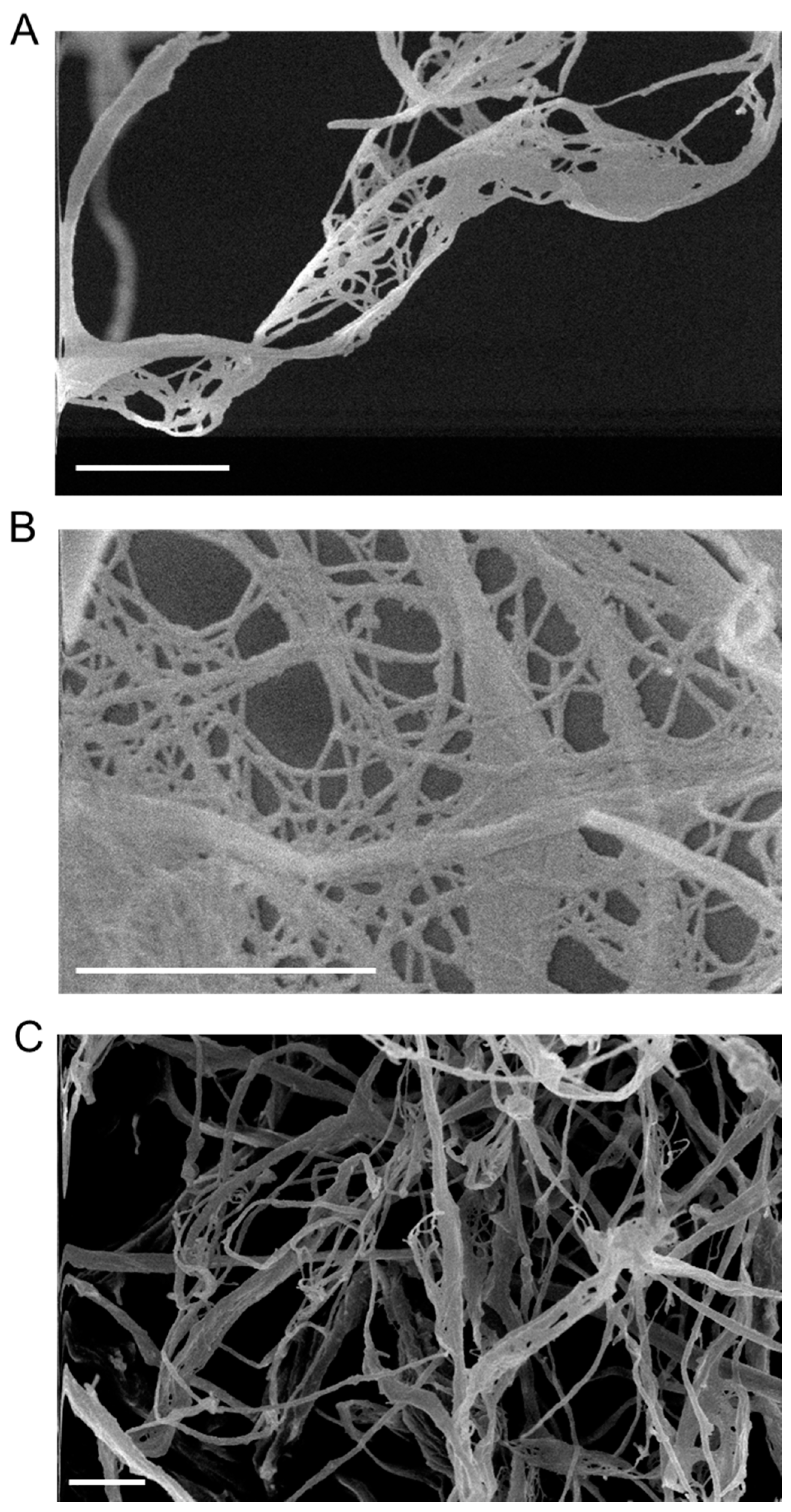 Applsci 11 06445 g001