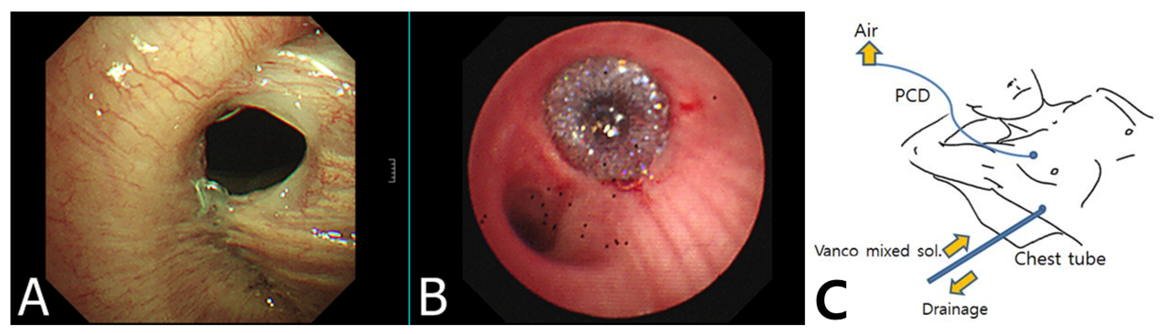 Applsci 11 06456 g001