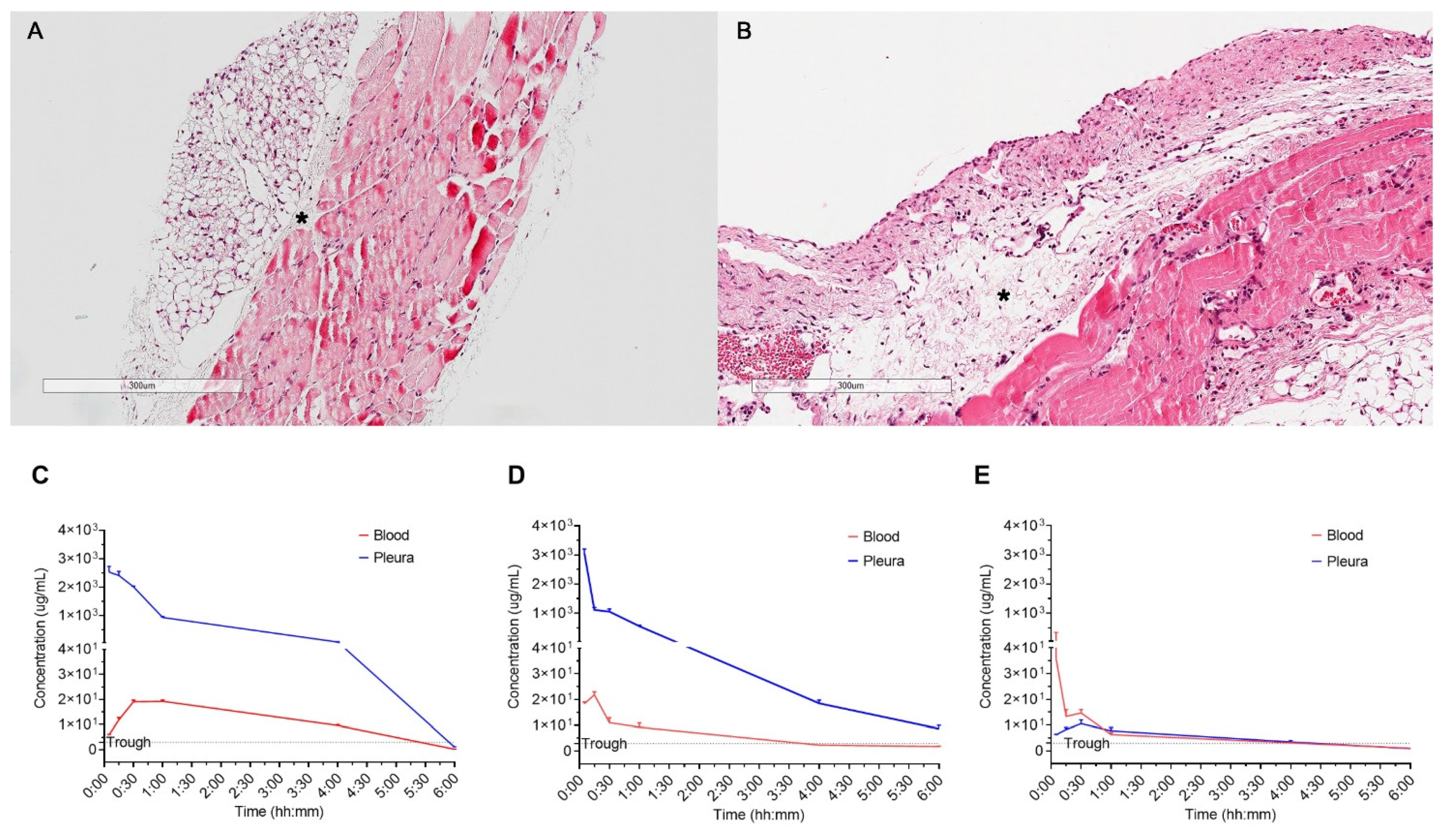 Applsci 11 06456 g002