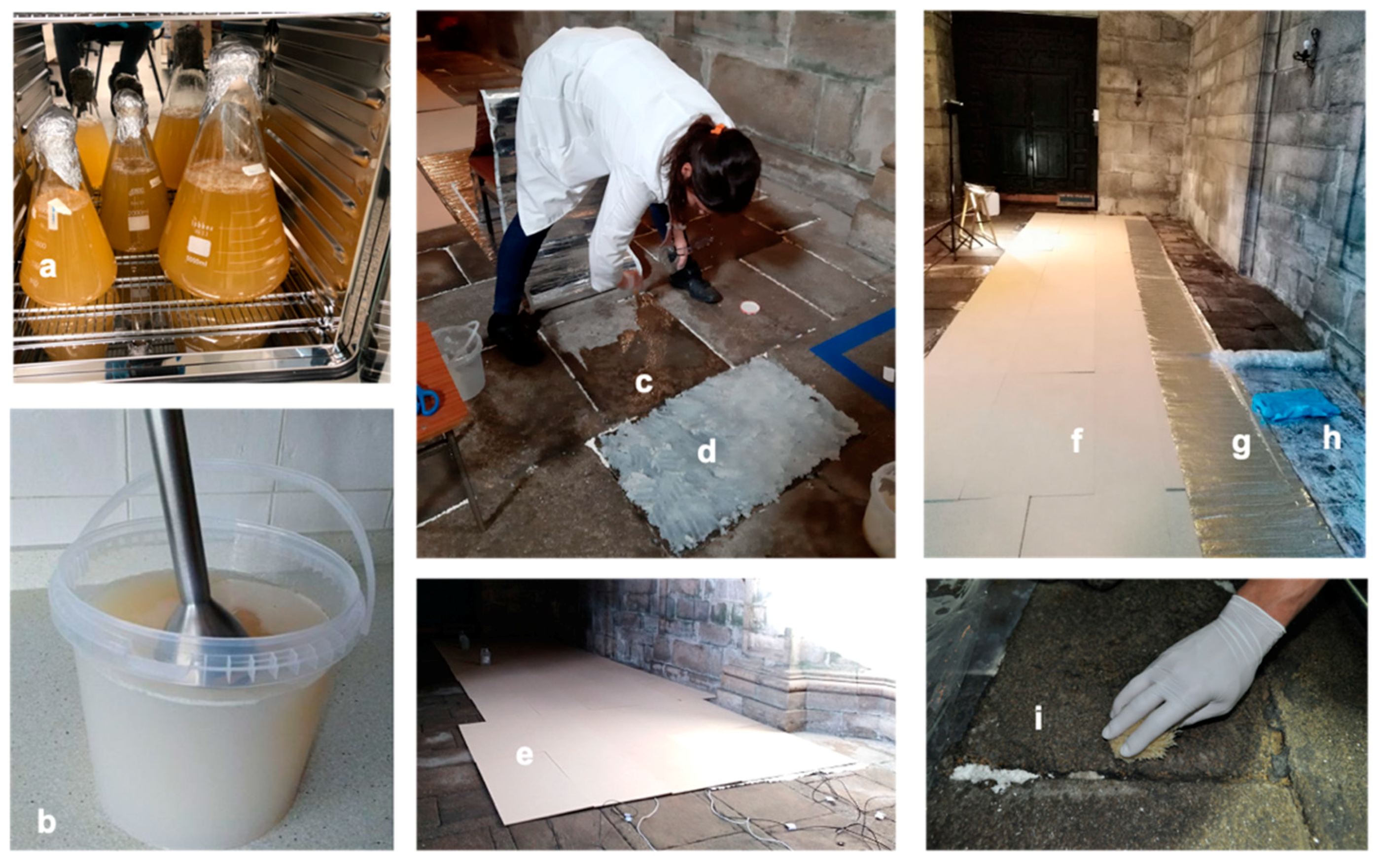 Applsci 11 06458 g003