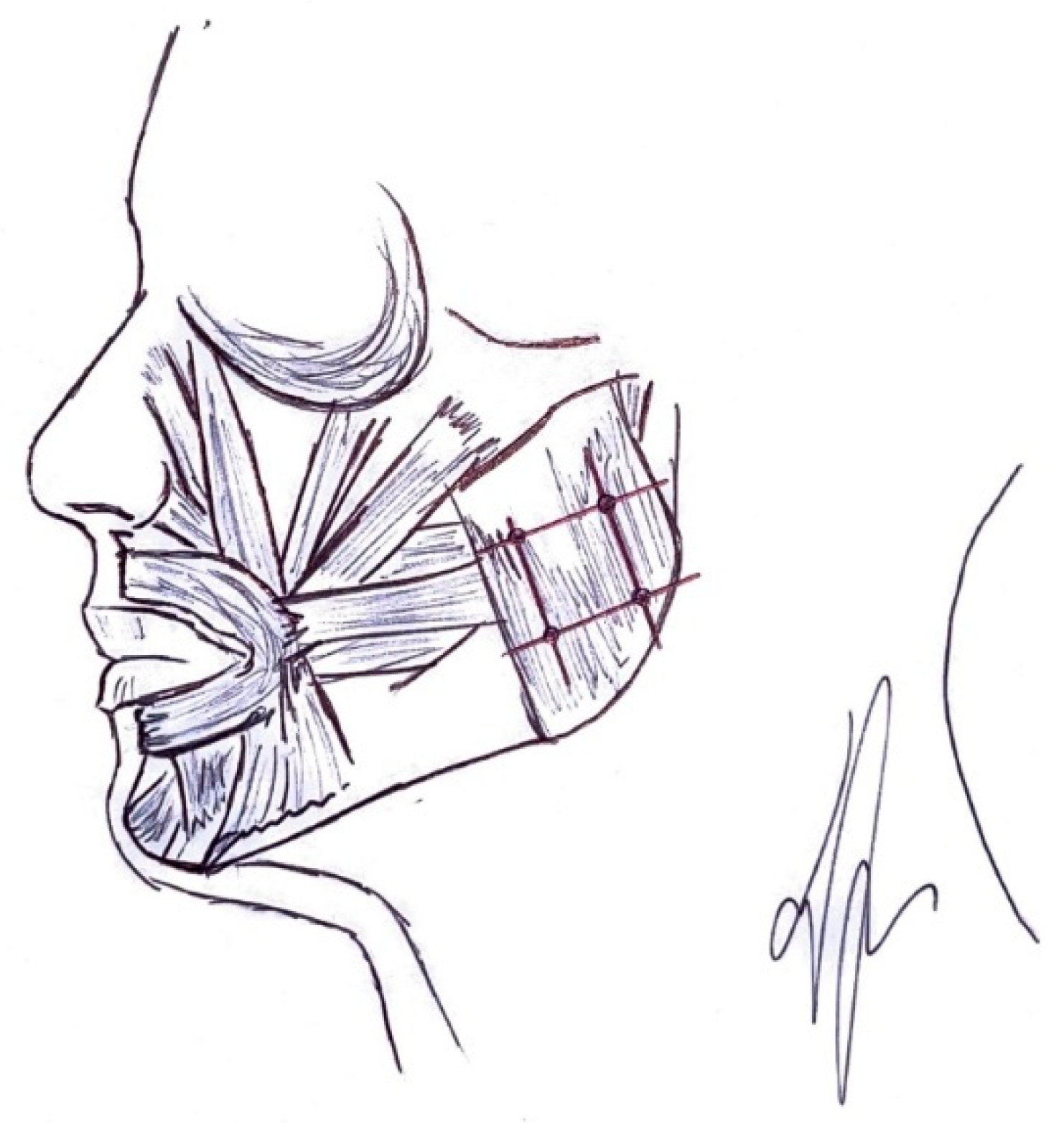 Applsci 11 06478 g002