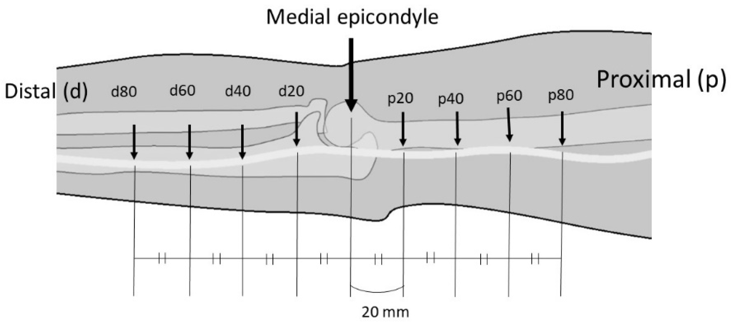 Applsci 11 06487 g002