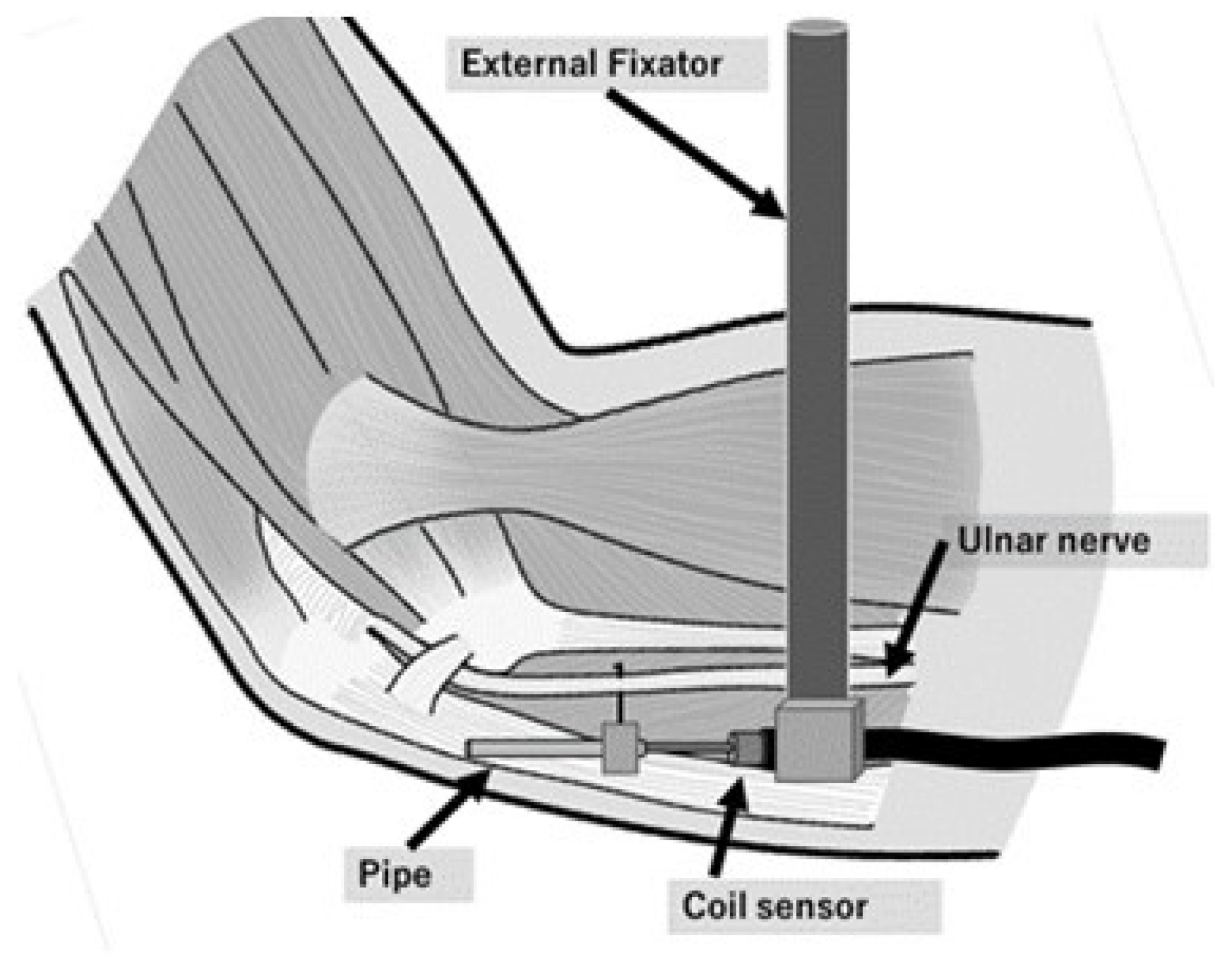 Applsci 11 06487 g003