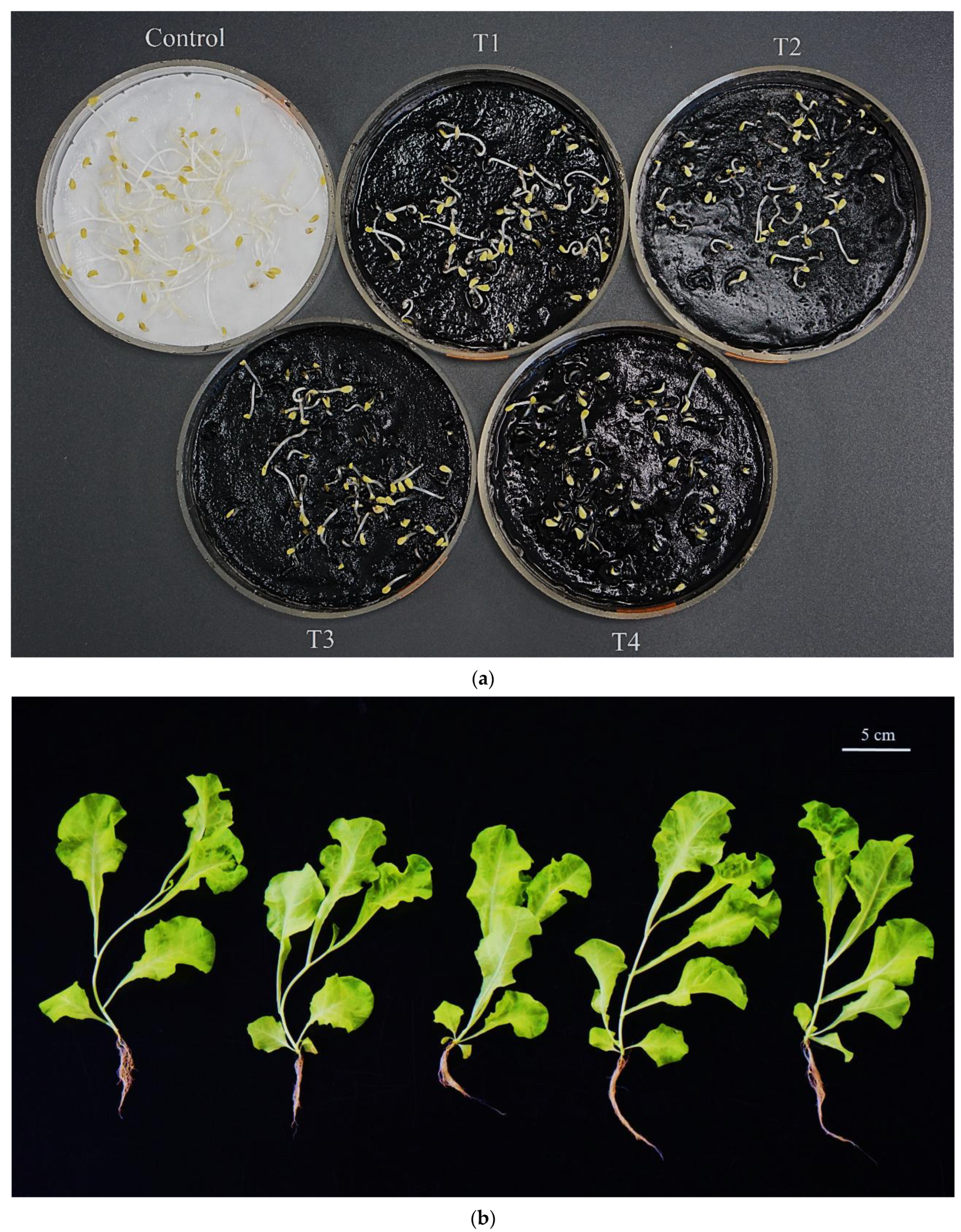 Applsci 11 06489 g003 Applsci 11 06489 g003