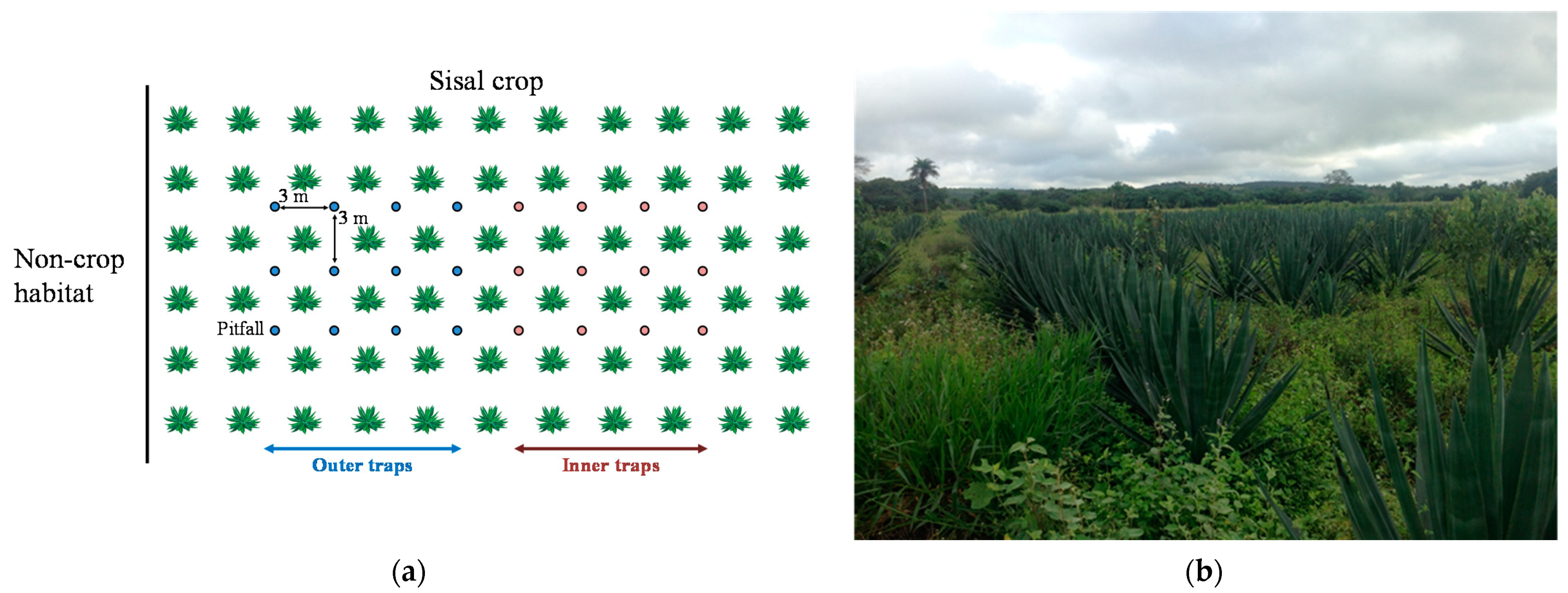 Applsci 11 06498 g001