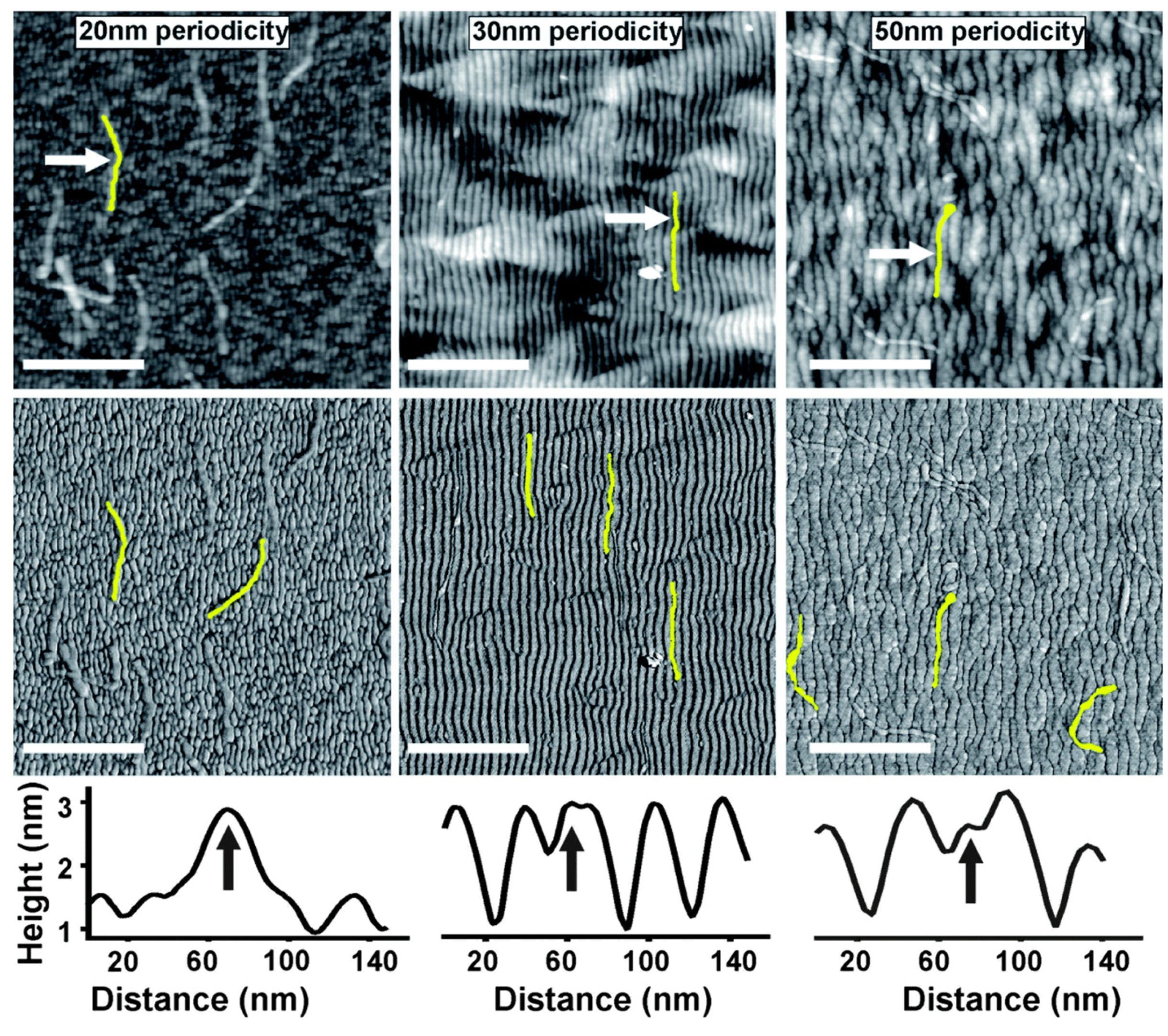 Applsci 11 06575 g005