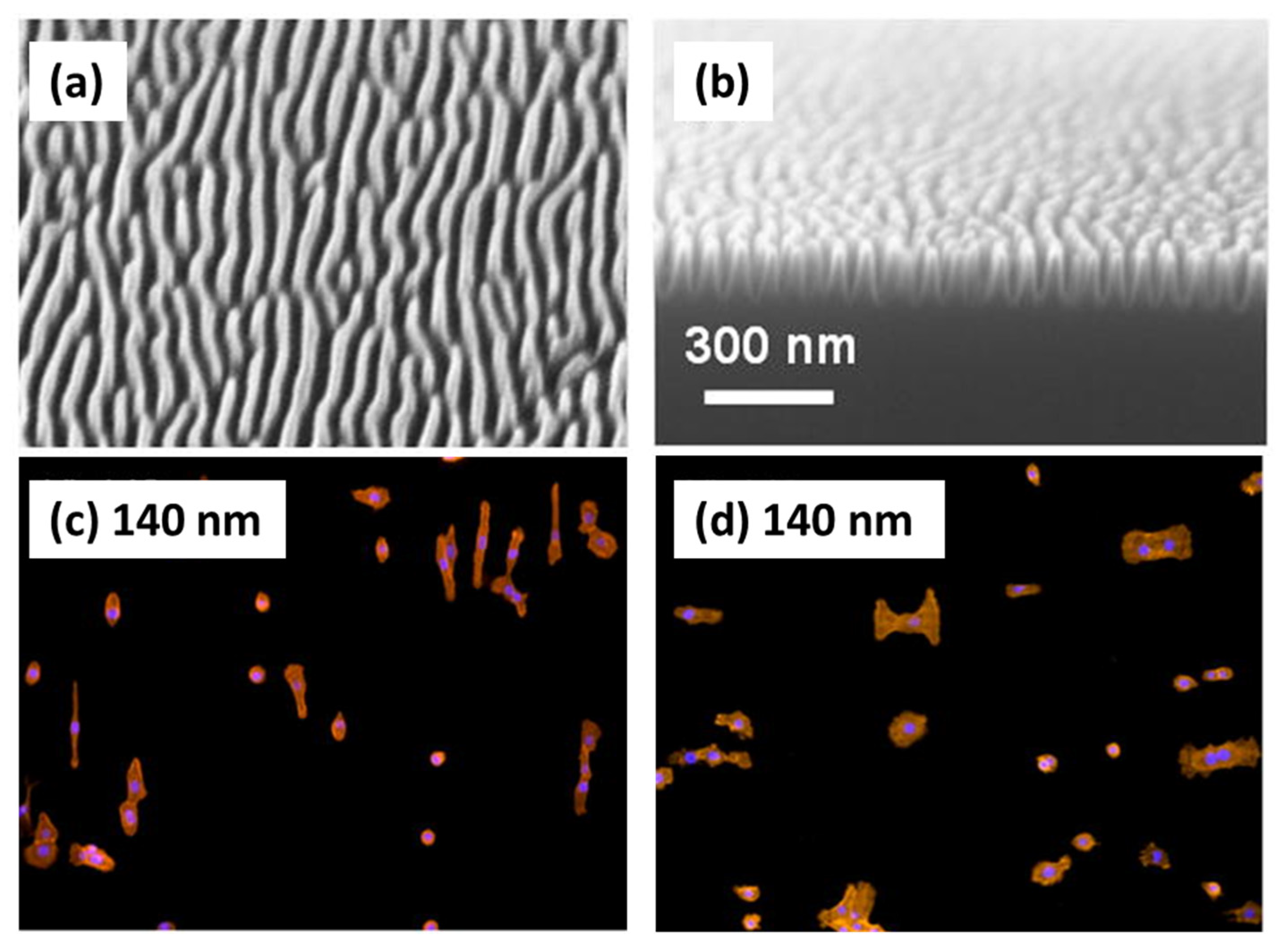 Applsci 11 06575 g006