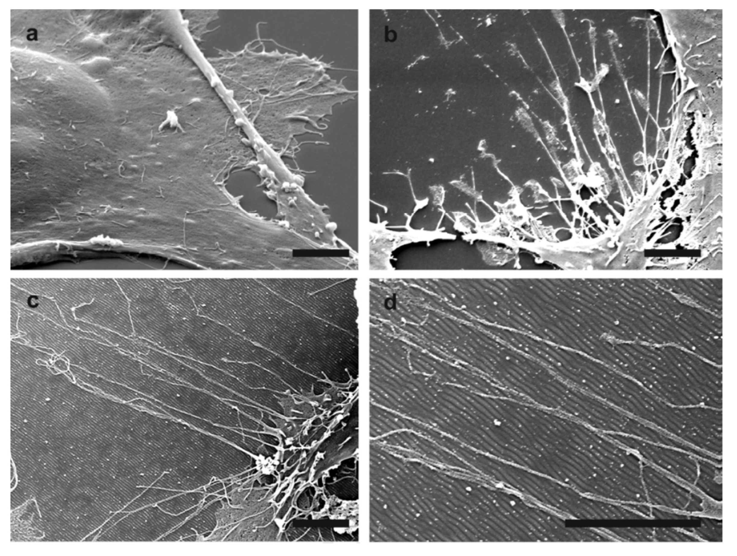 Applsci 11 06575 g008