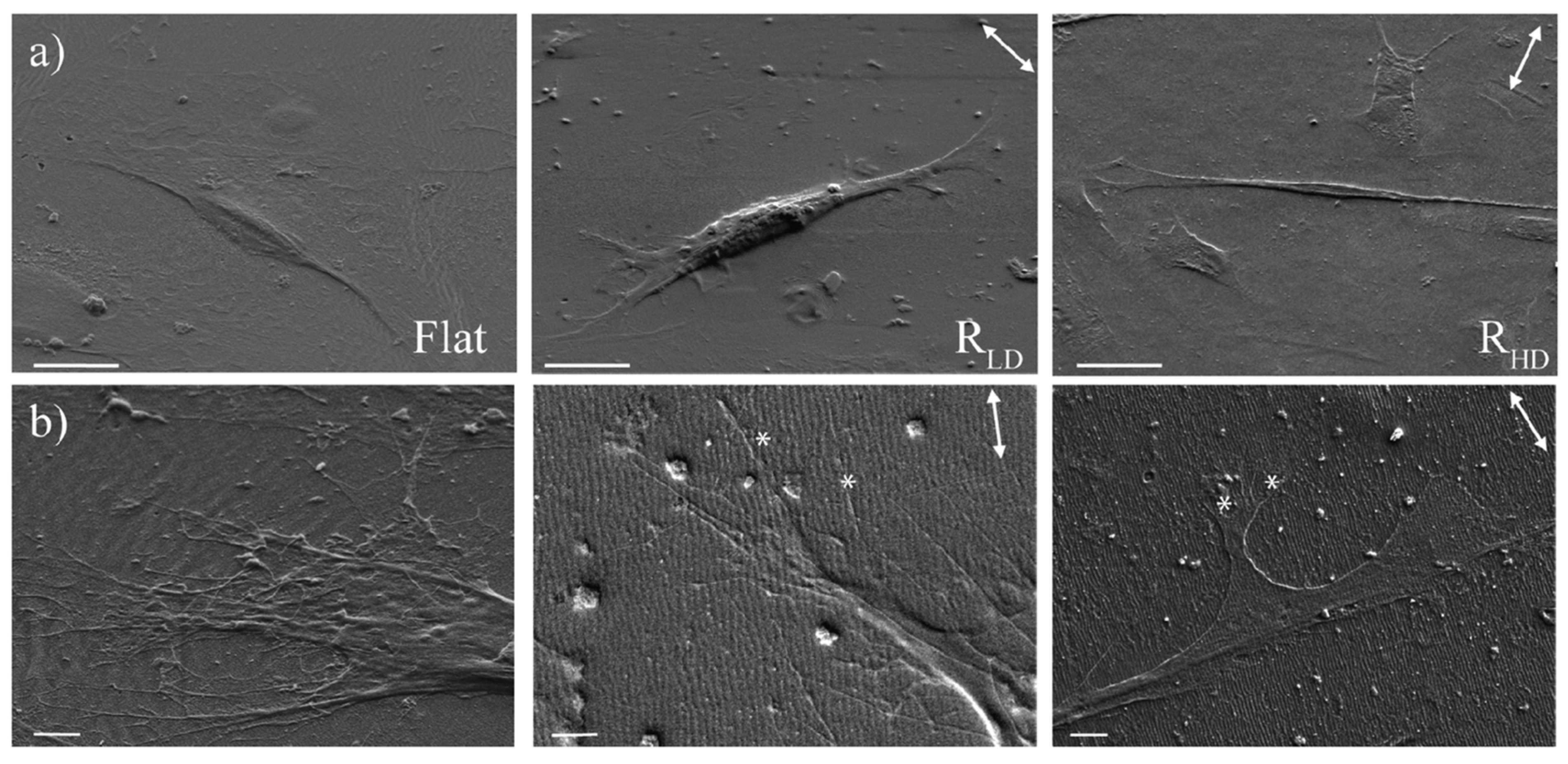 Applsci 11 06575 g010