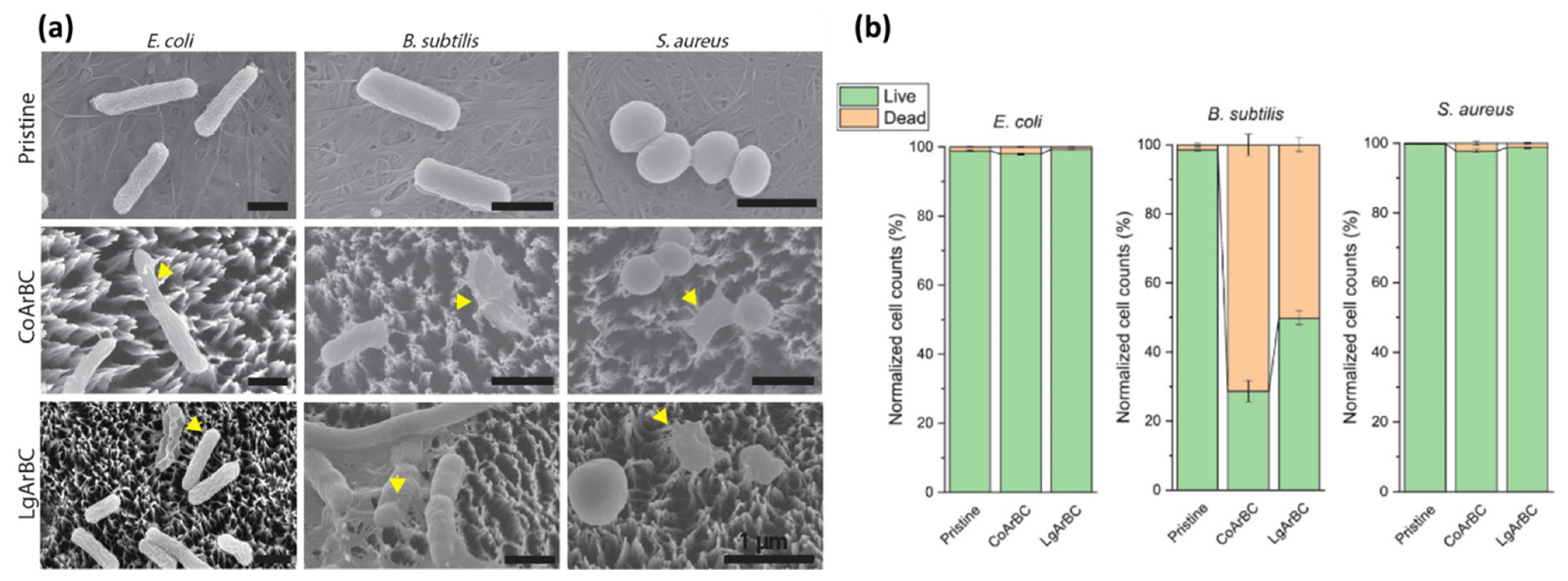 Applsci 11 06575 g011