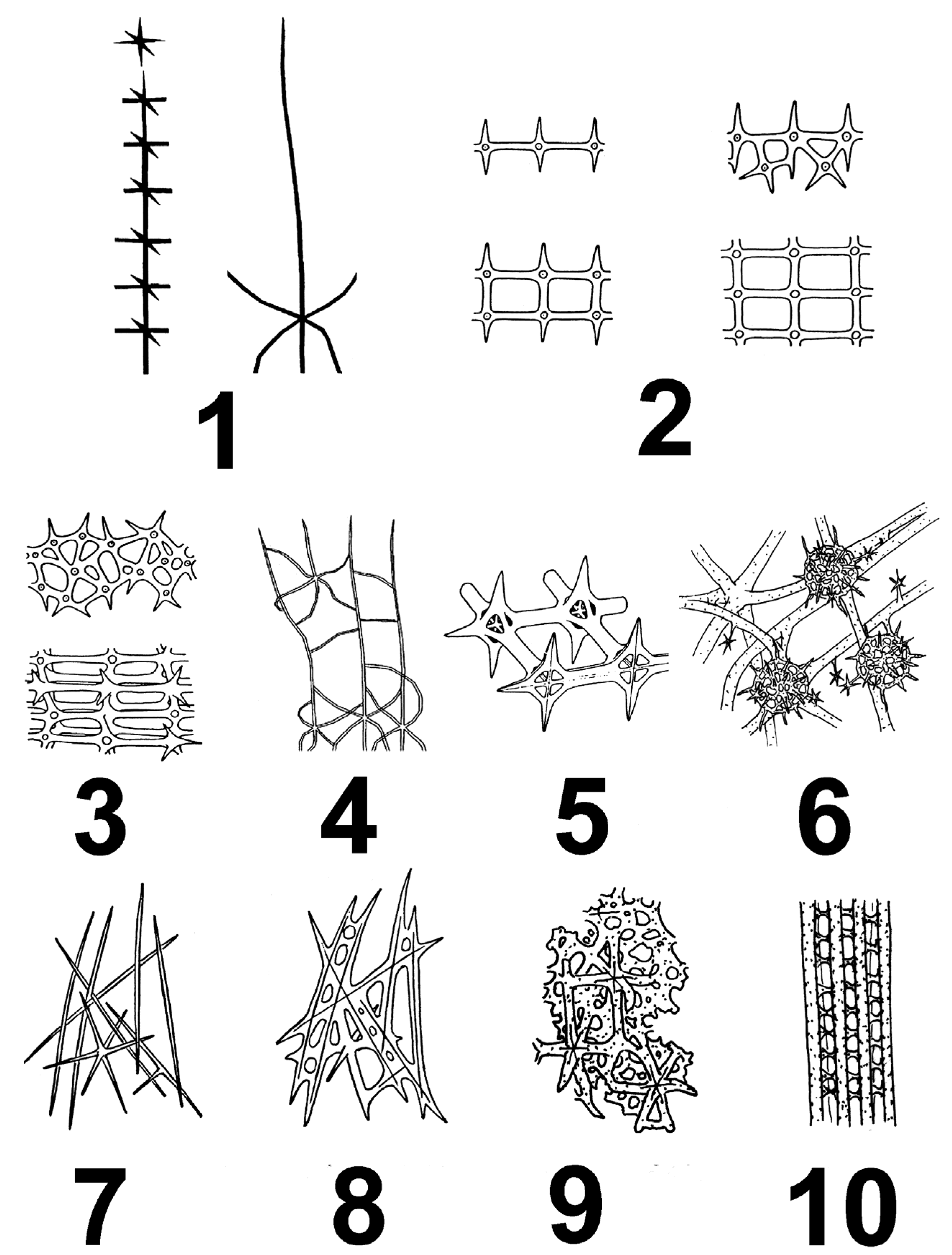 Applsci 11 06587 g001 Applsci 11 06587 g001