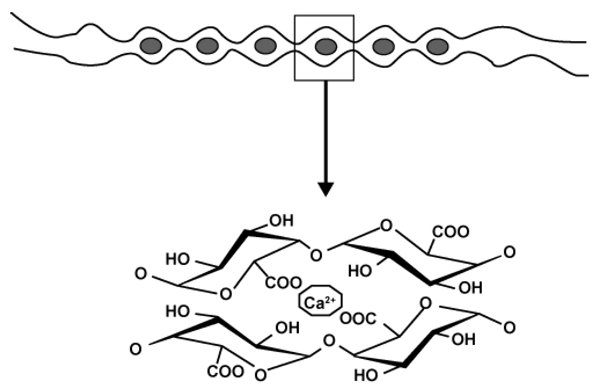 Applsci 11 06596 g005 Applsci 11 06596 g005