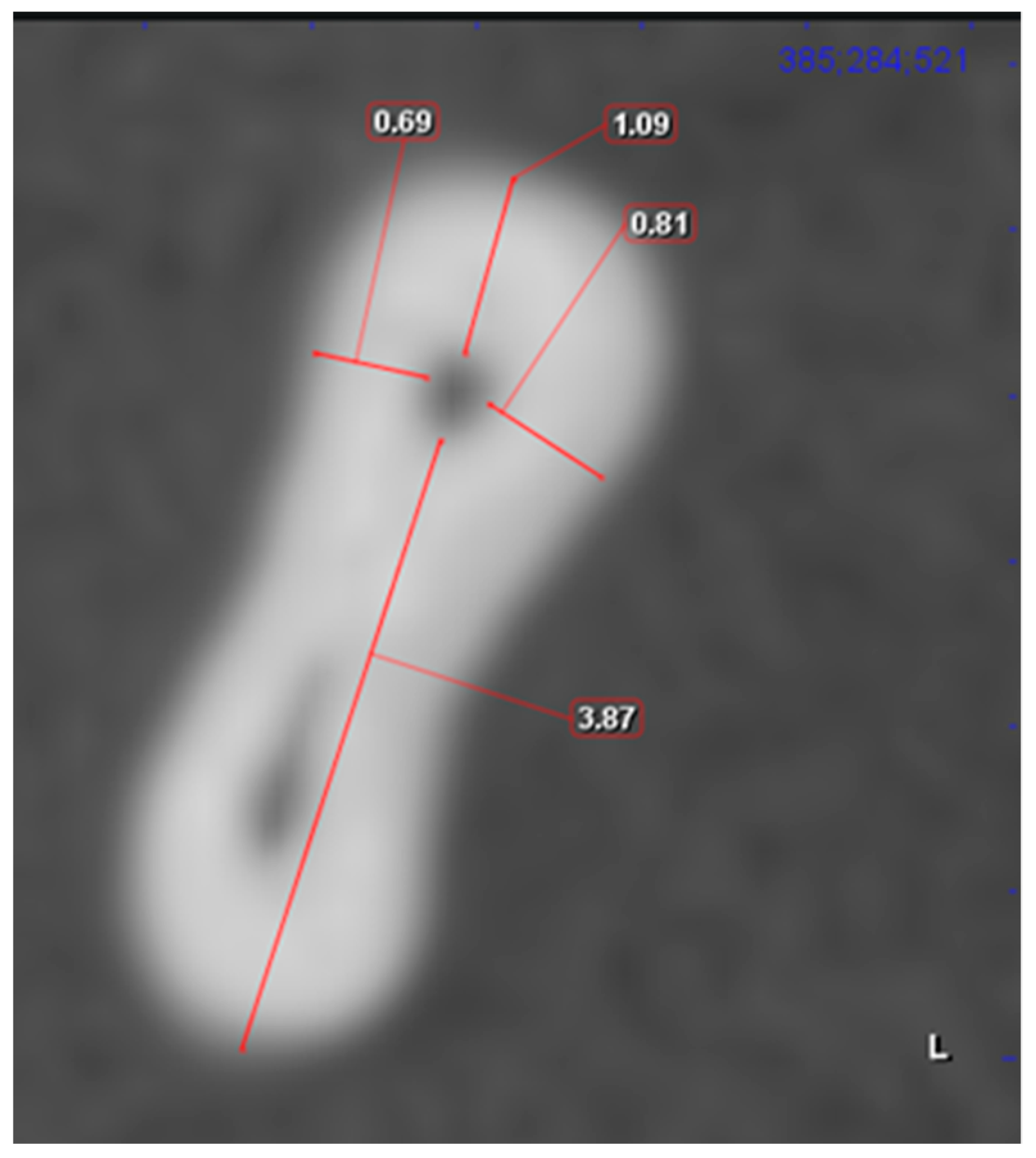 Applsci 11 06599 g002