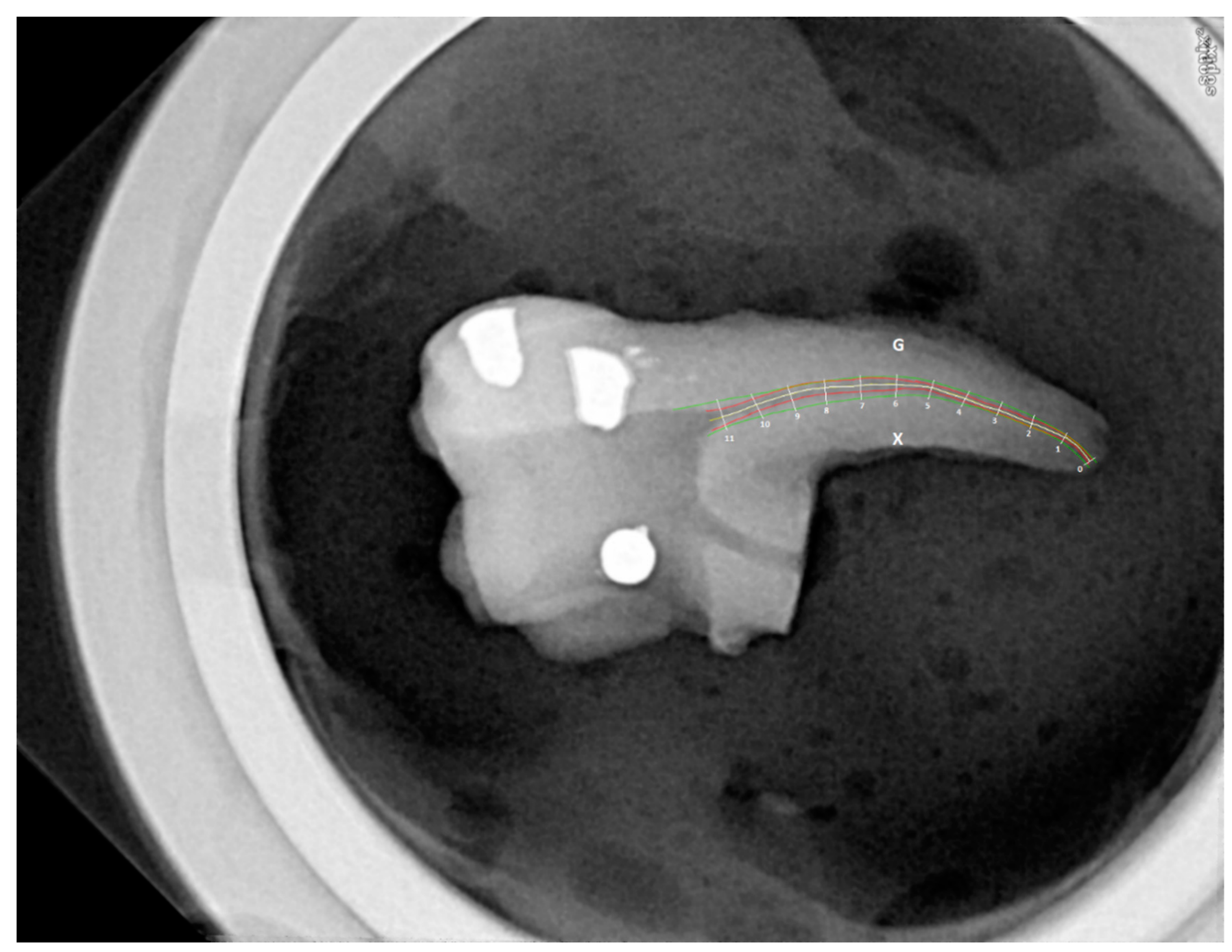 Applsci 11 06599 g003