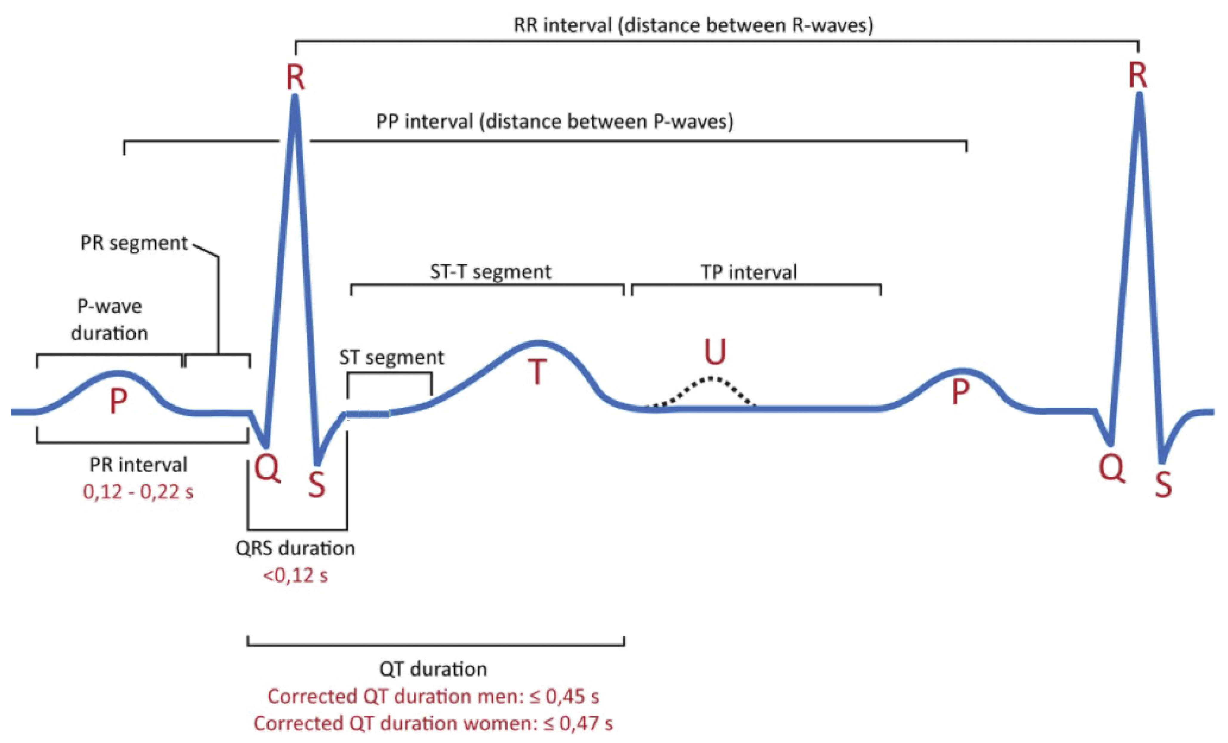 Applsci 11 06622 g001