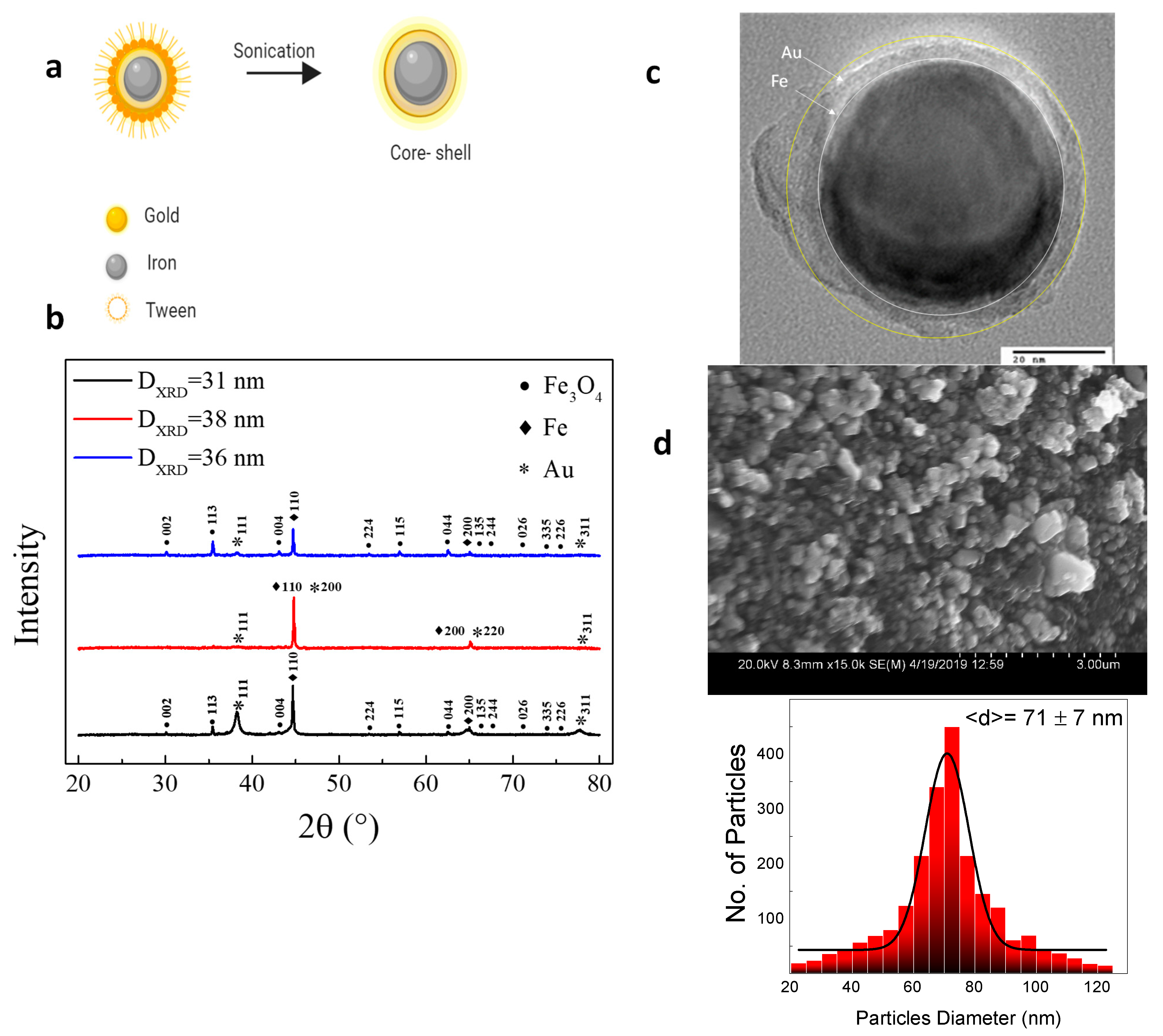 Applsci 11 06637 g001