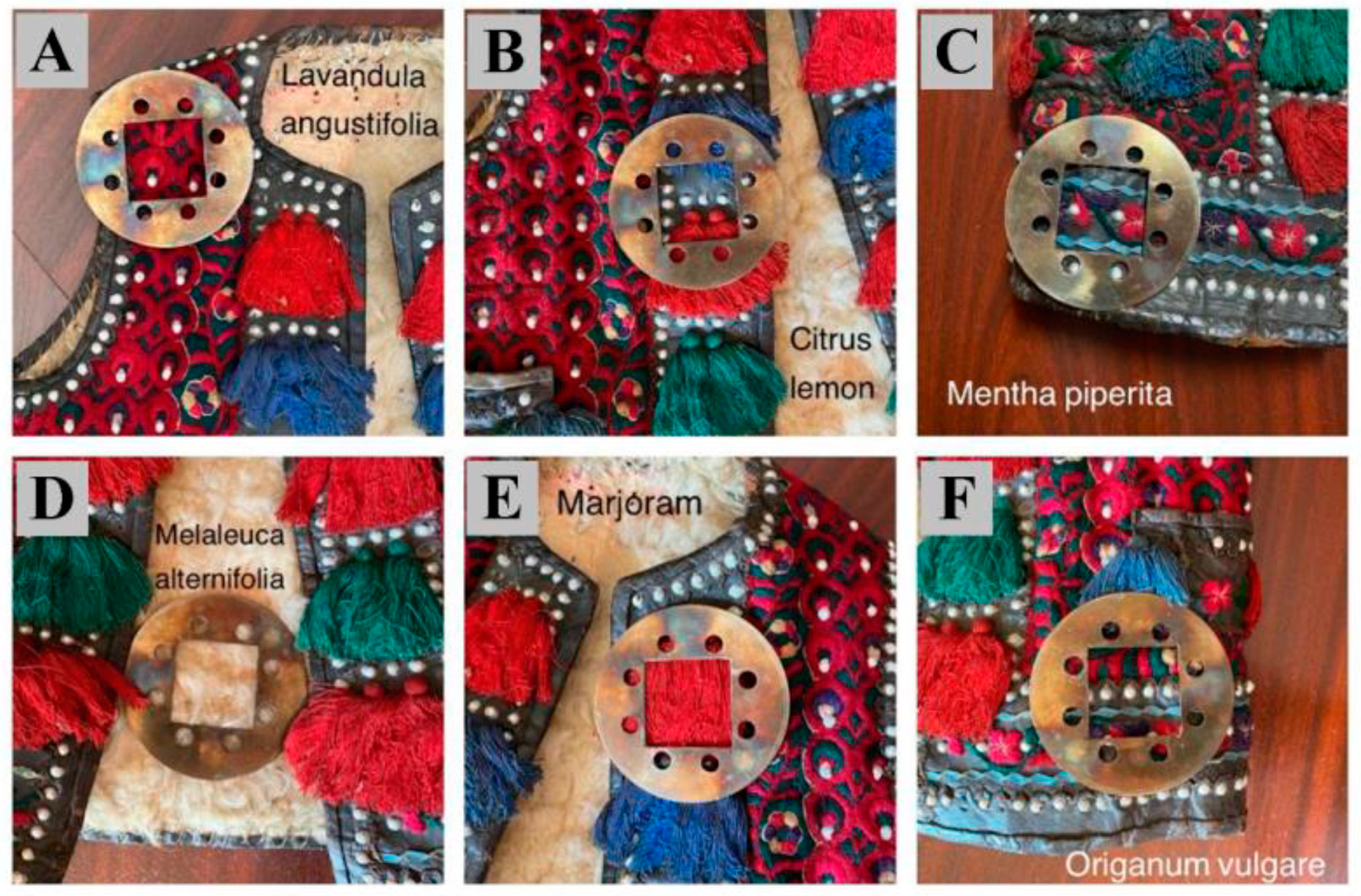 Applsci 11 06643 g002