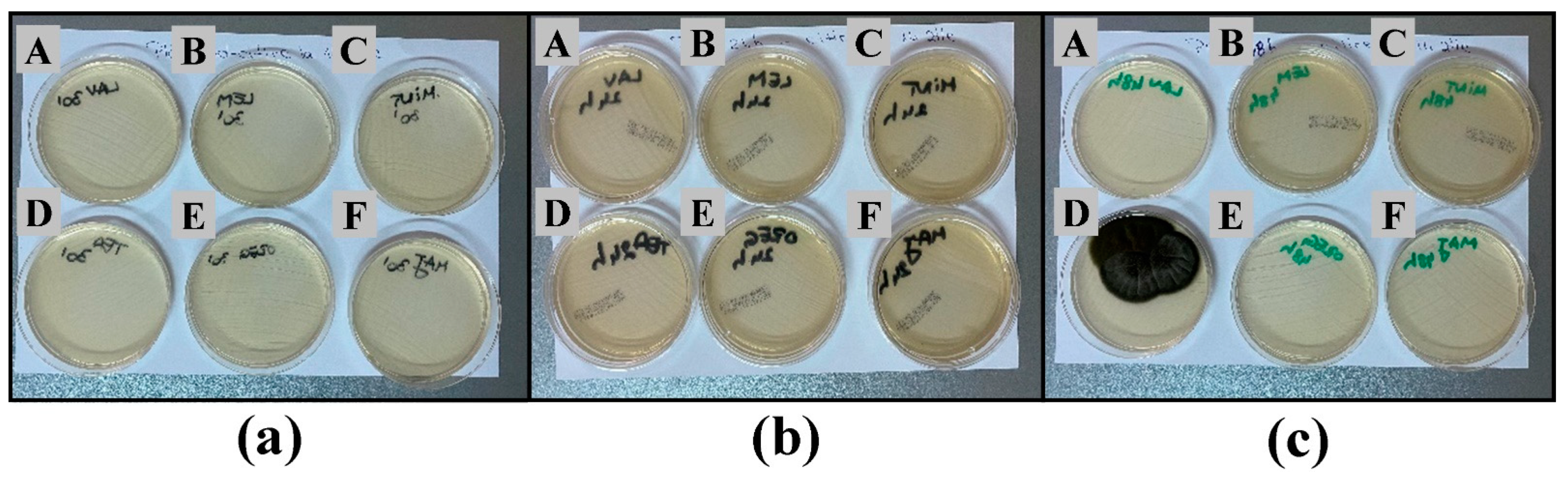 Applsci 11 06643 g004