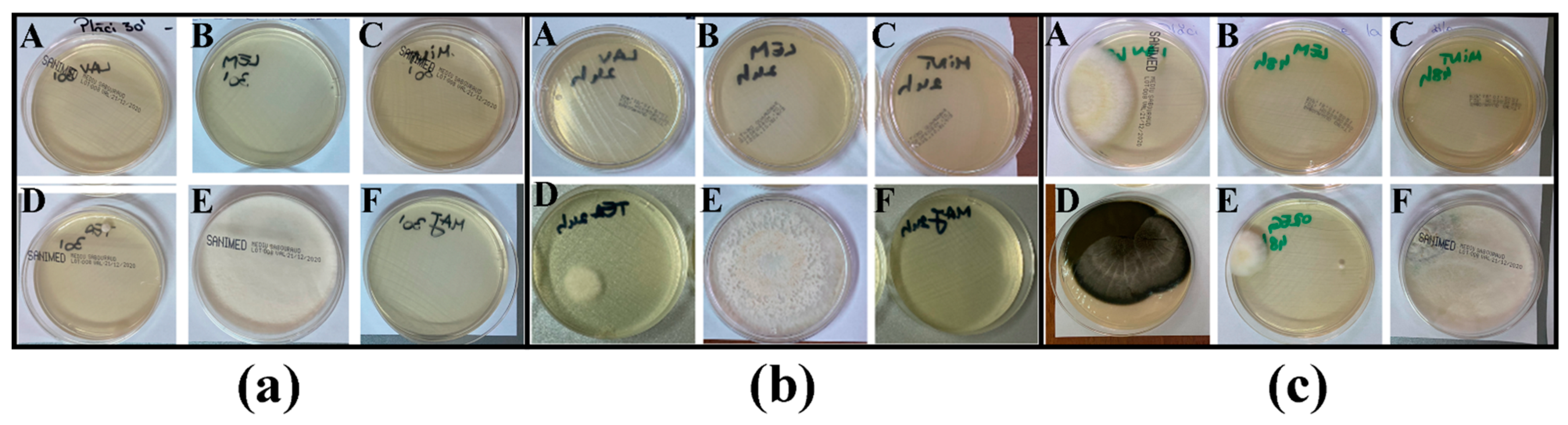 Applsci 11 06643 g005