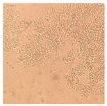 Applsci 11 06643 i004