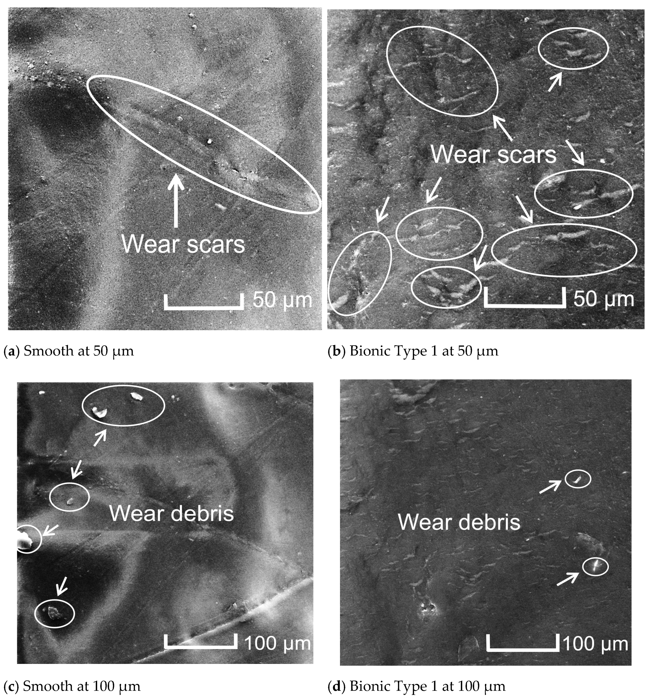 Applsci 11 06655 g008