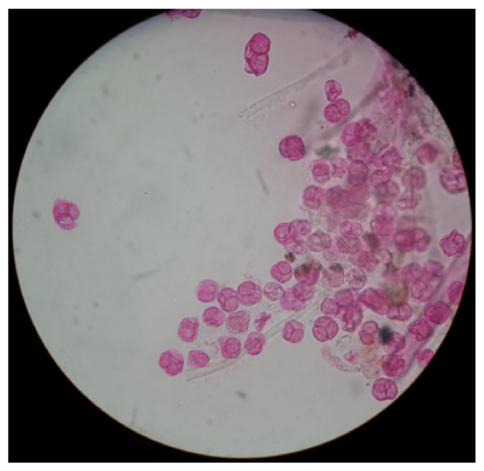 Applsci 11 06657 g001