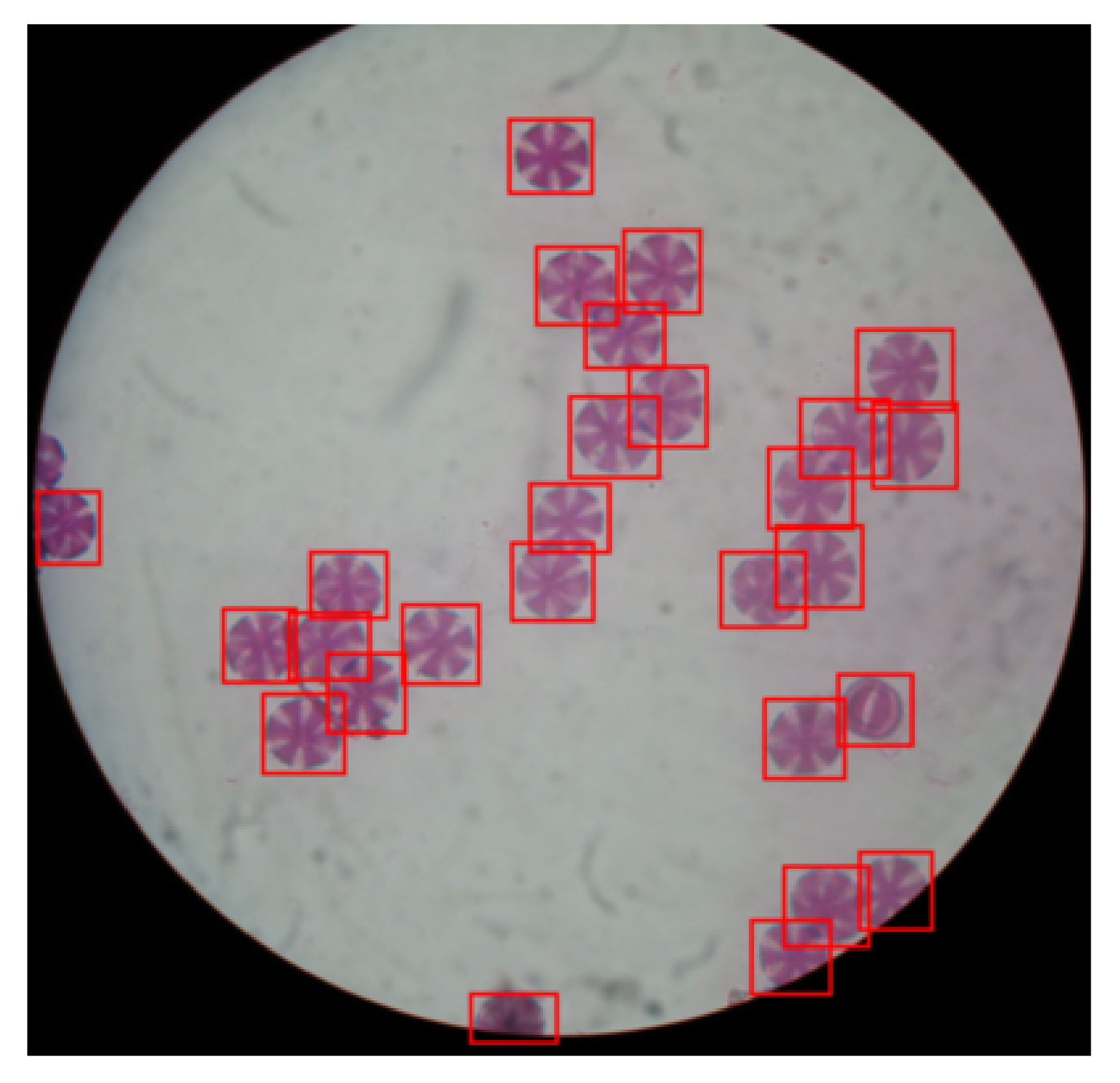 Applsci 11 06657 g002