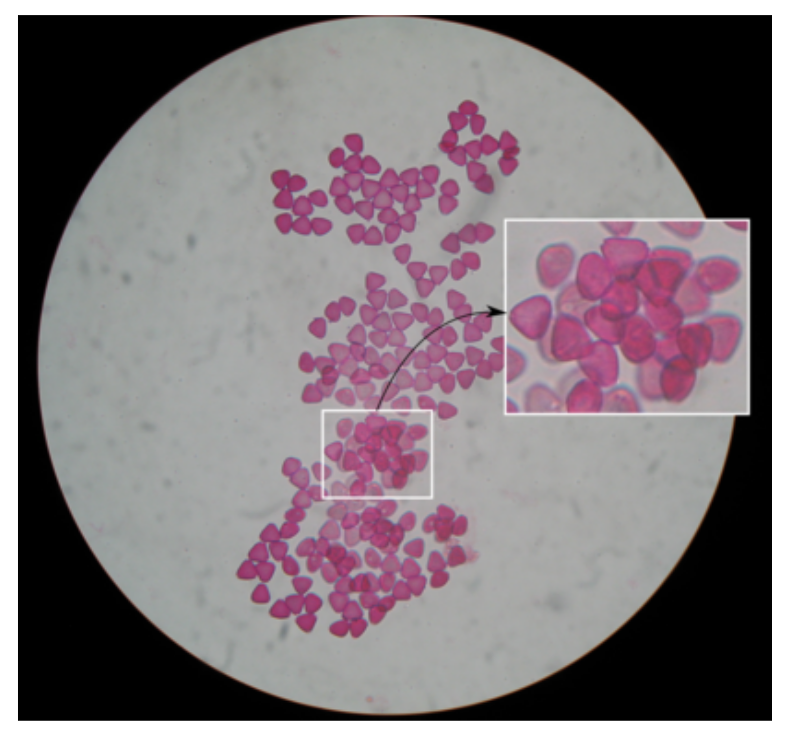 Applsci 11 06657 g005