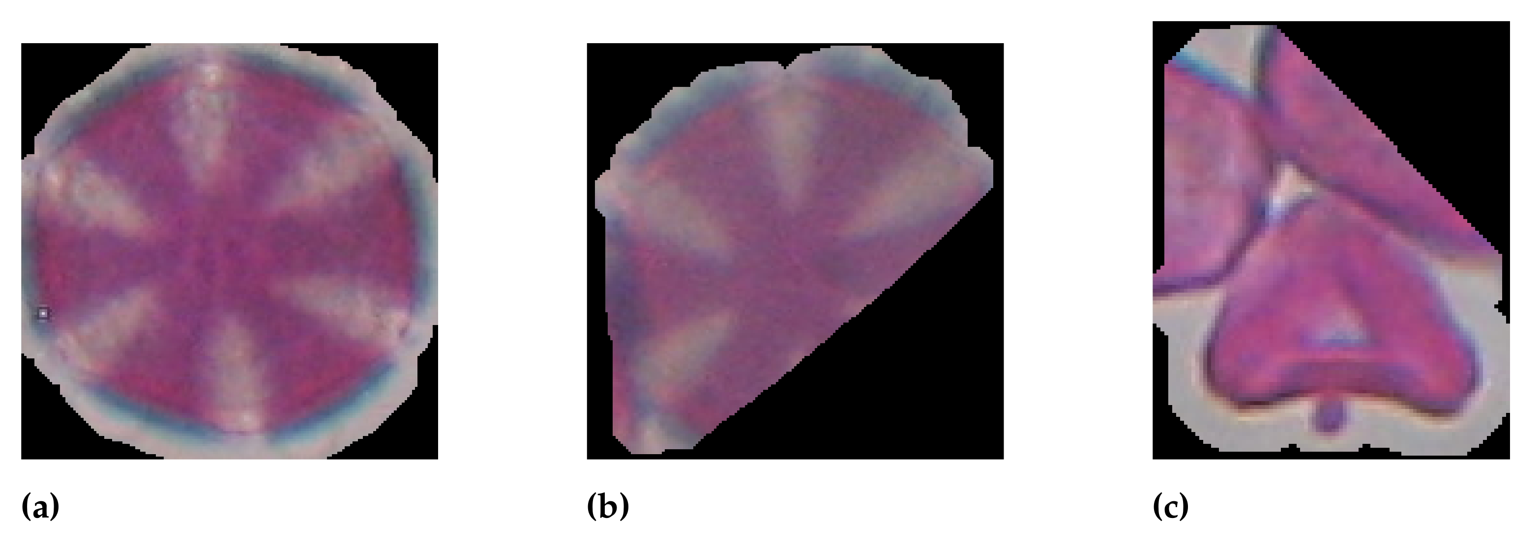 Applsci 11 06657 g007