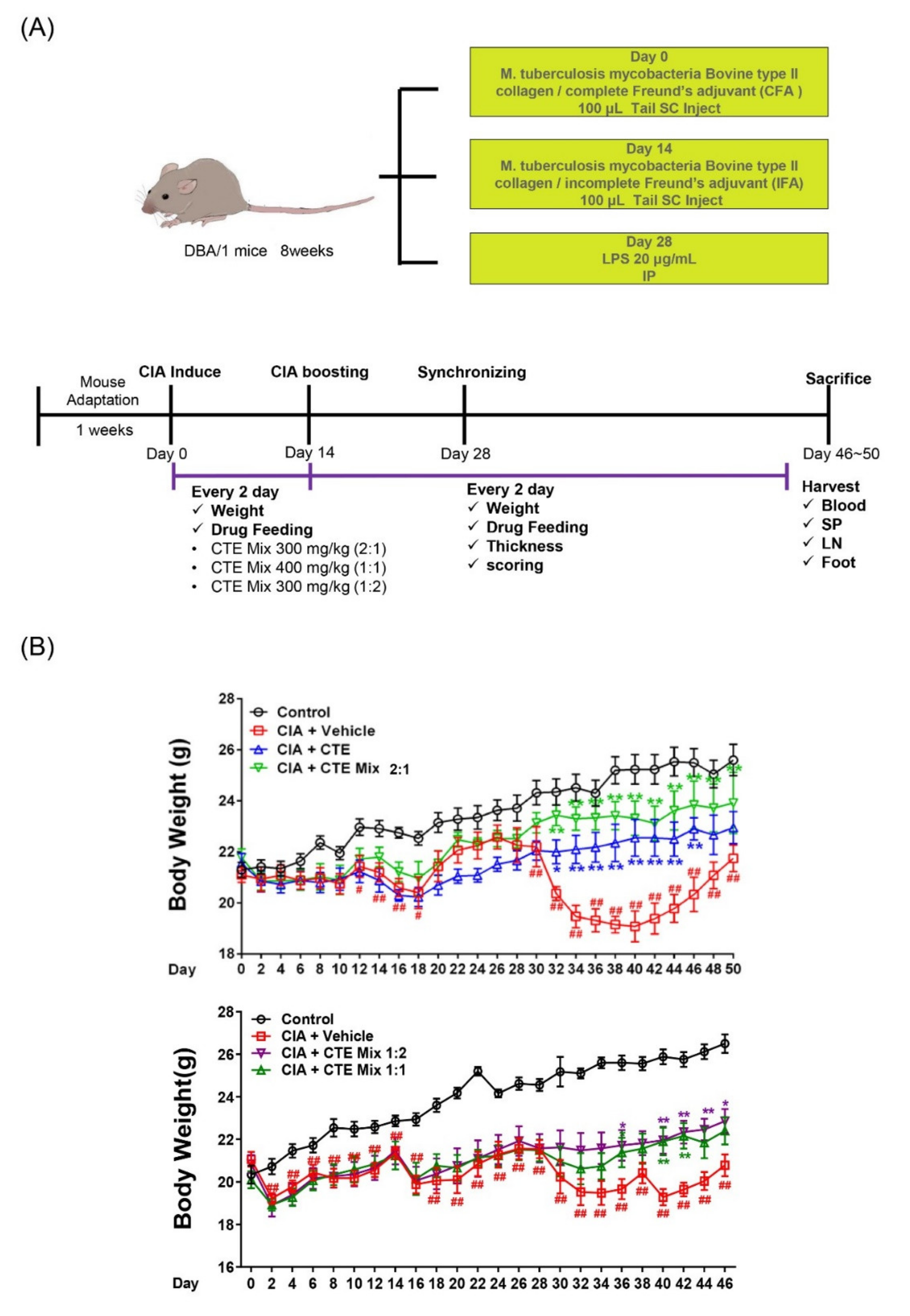 Applsci 11 06660 g003