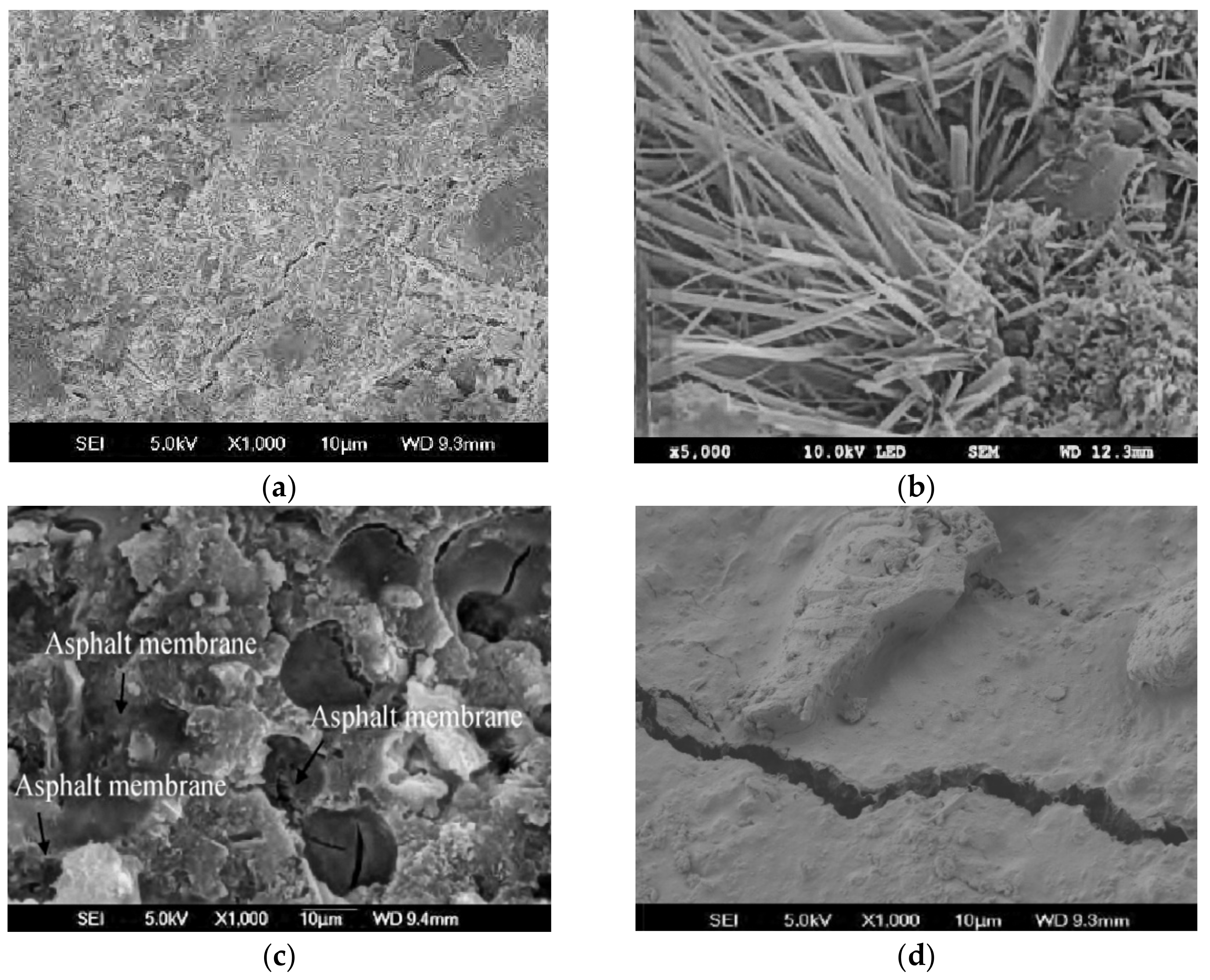 Applsci 11 06700 g001