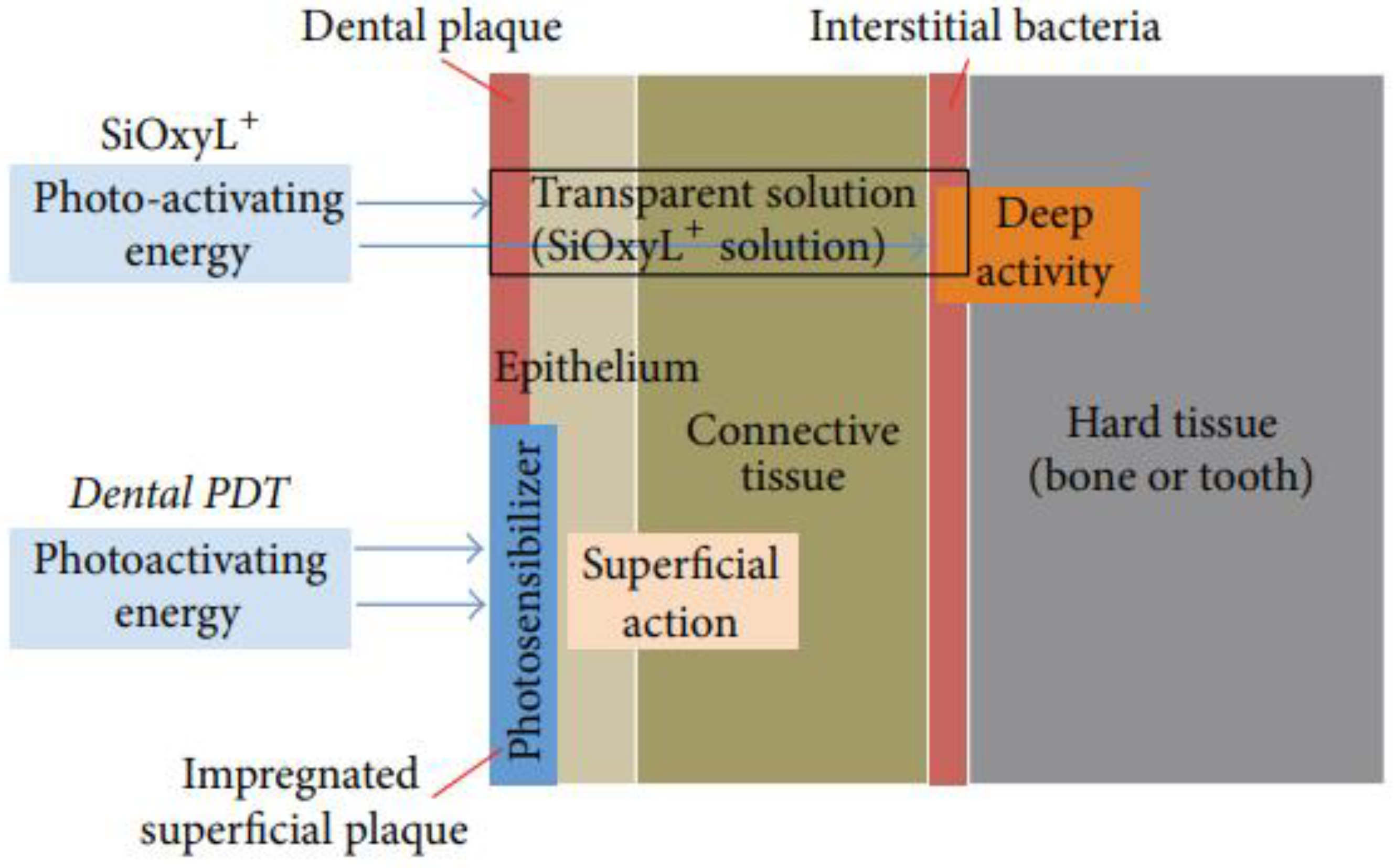 Applsci 11 06771 g001