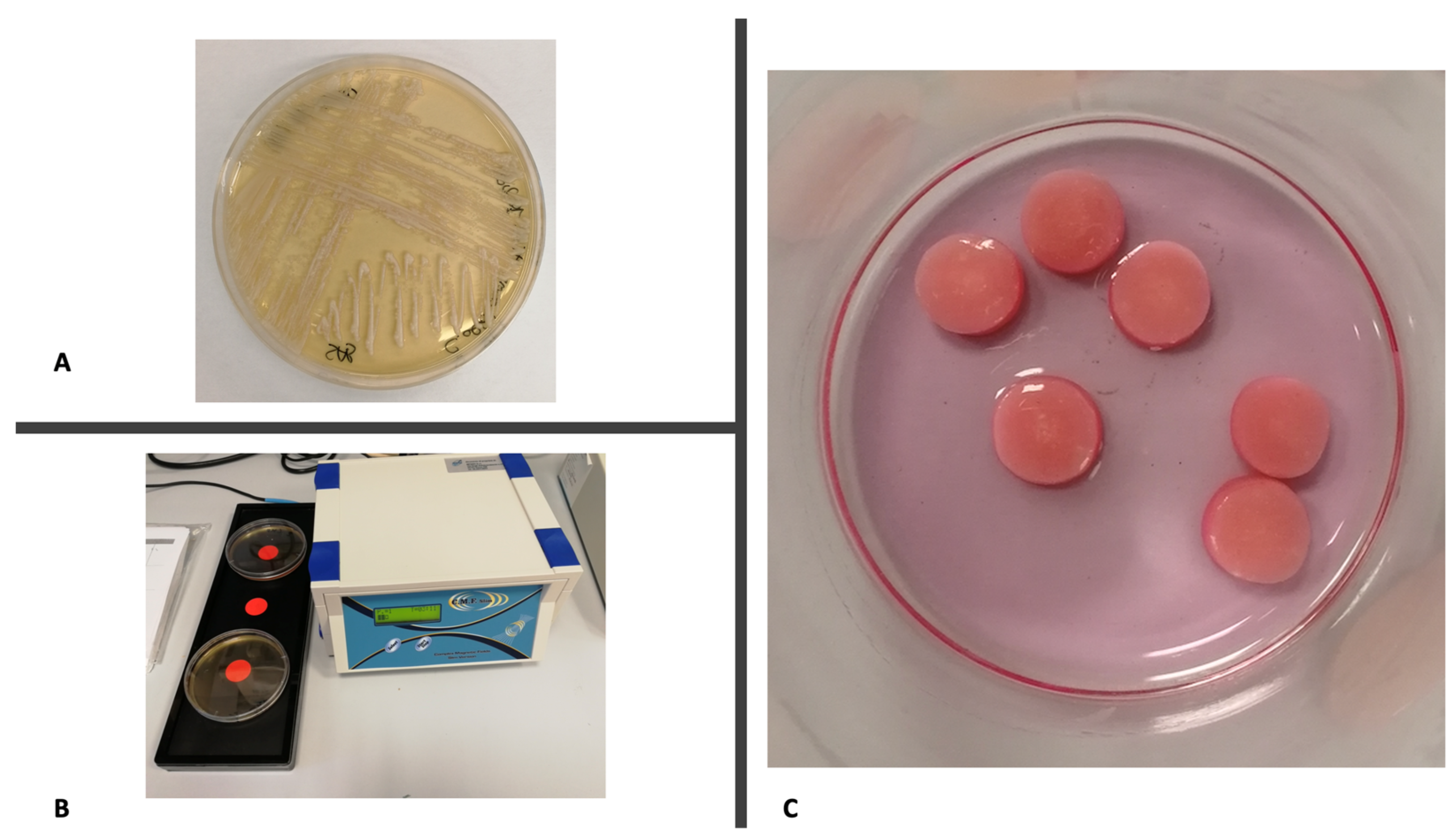 Applsci 11 06786 g001