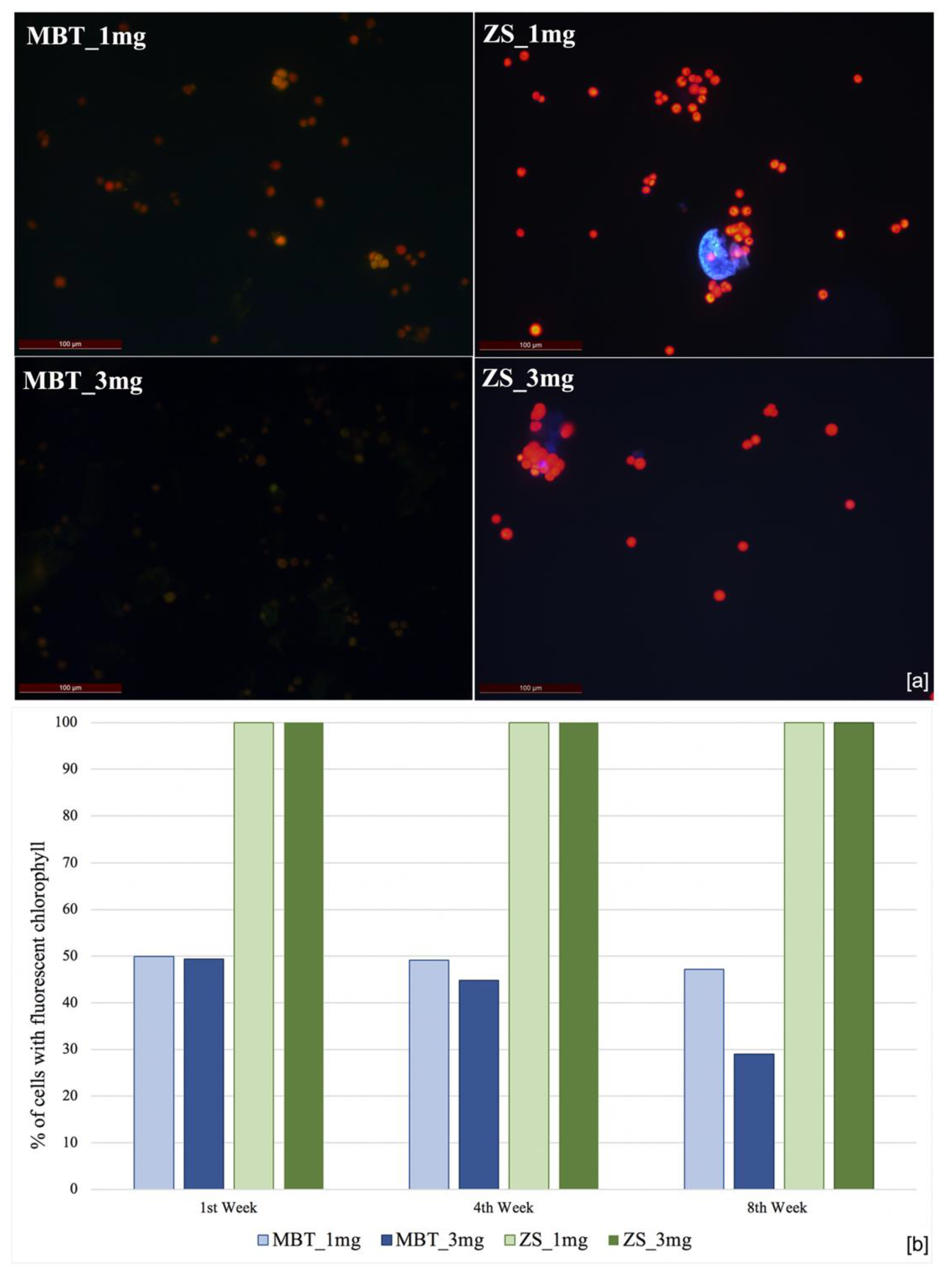 Applsci 11 06804 g002