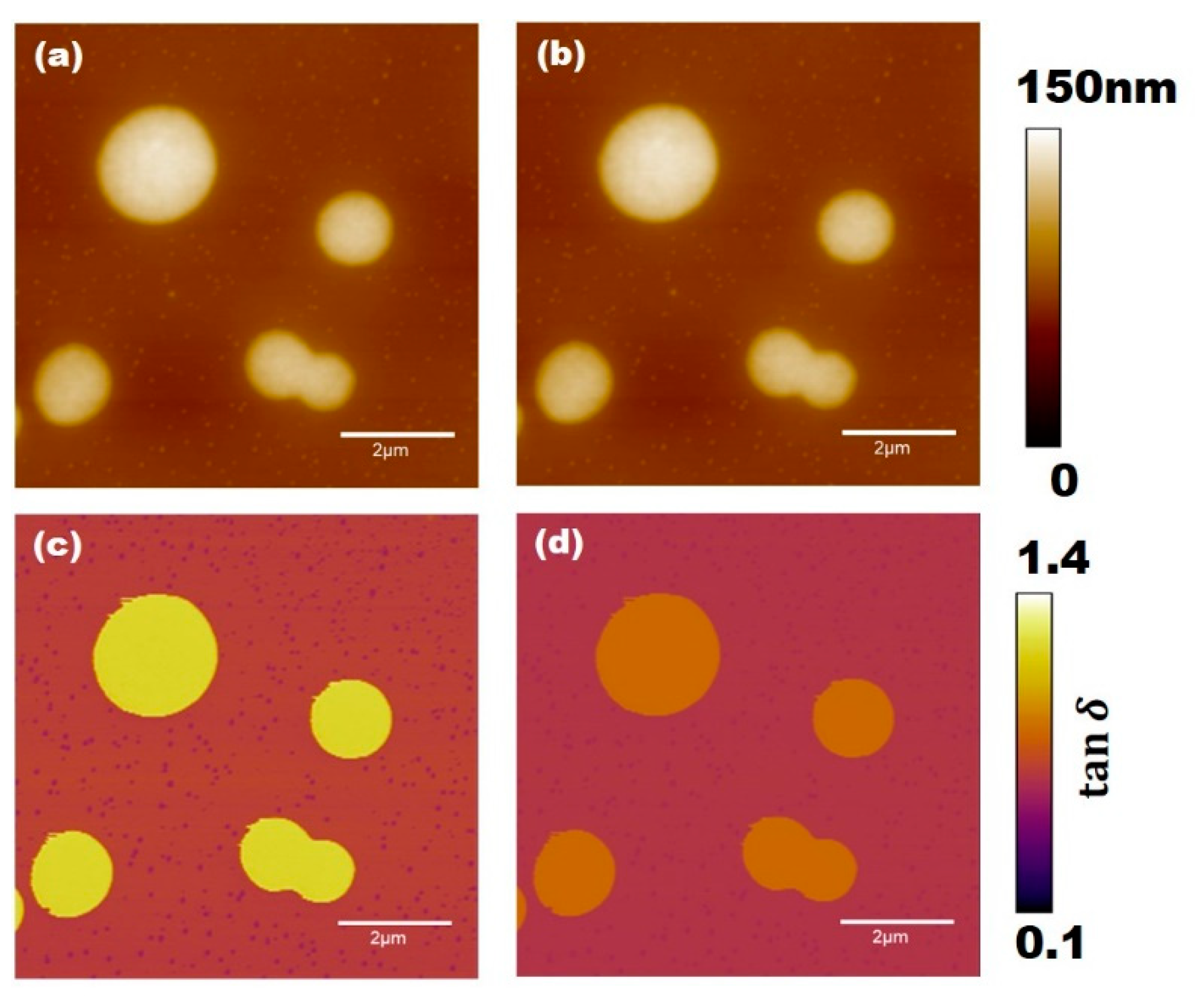 Applsci 11 06813 g002