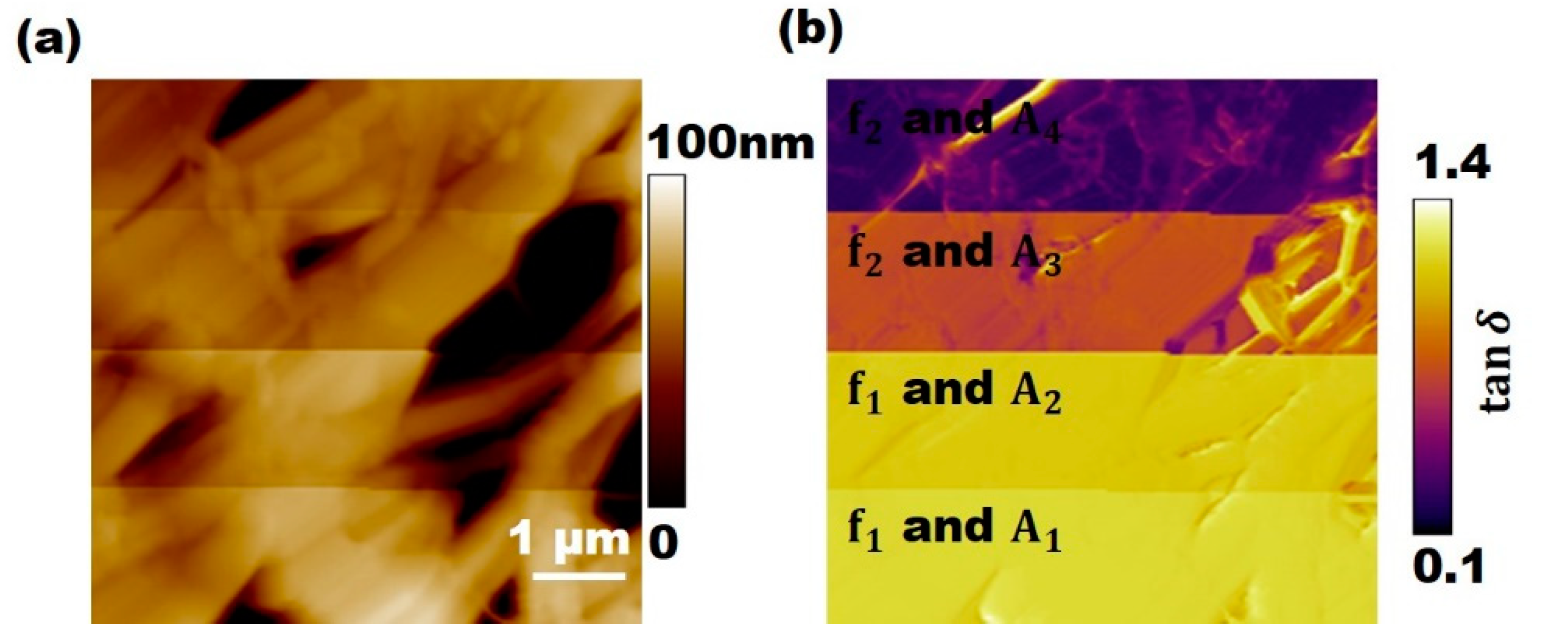 Applsci 11 06813 g003