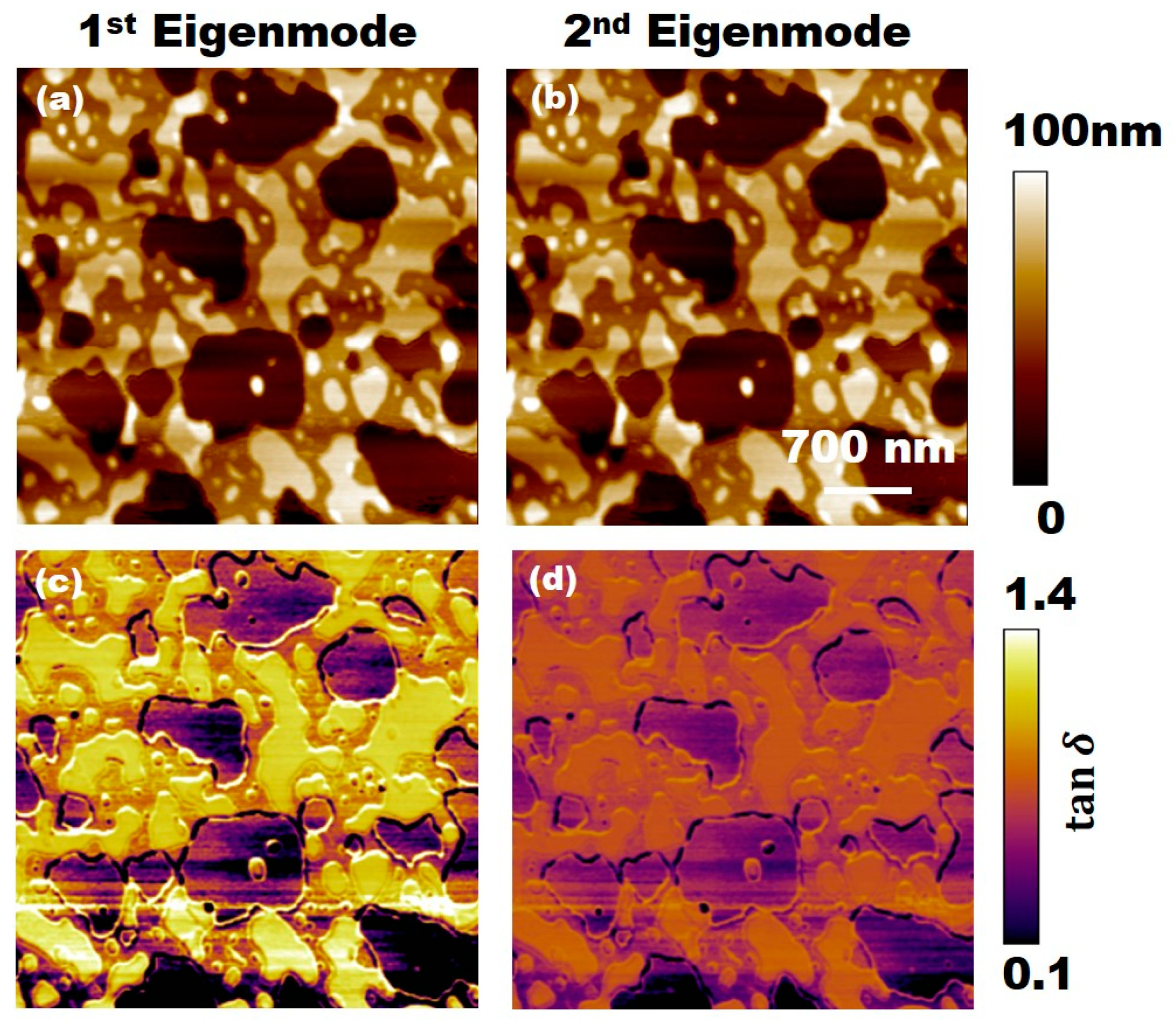 Applsci 11 06813 g004