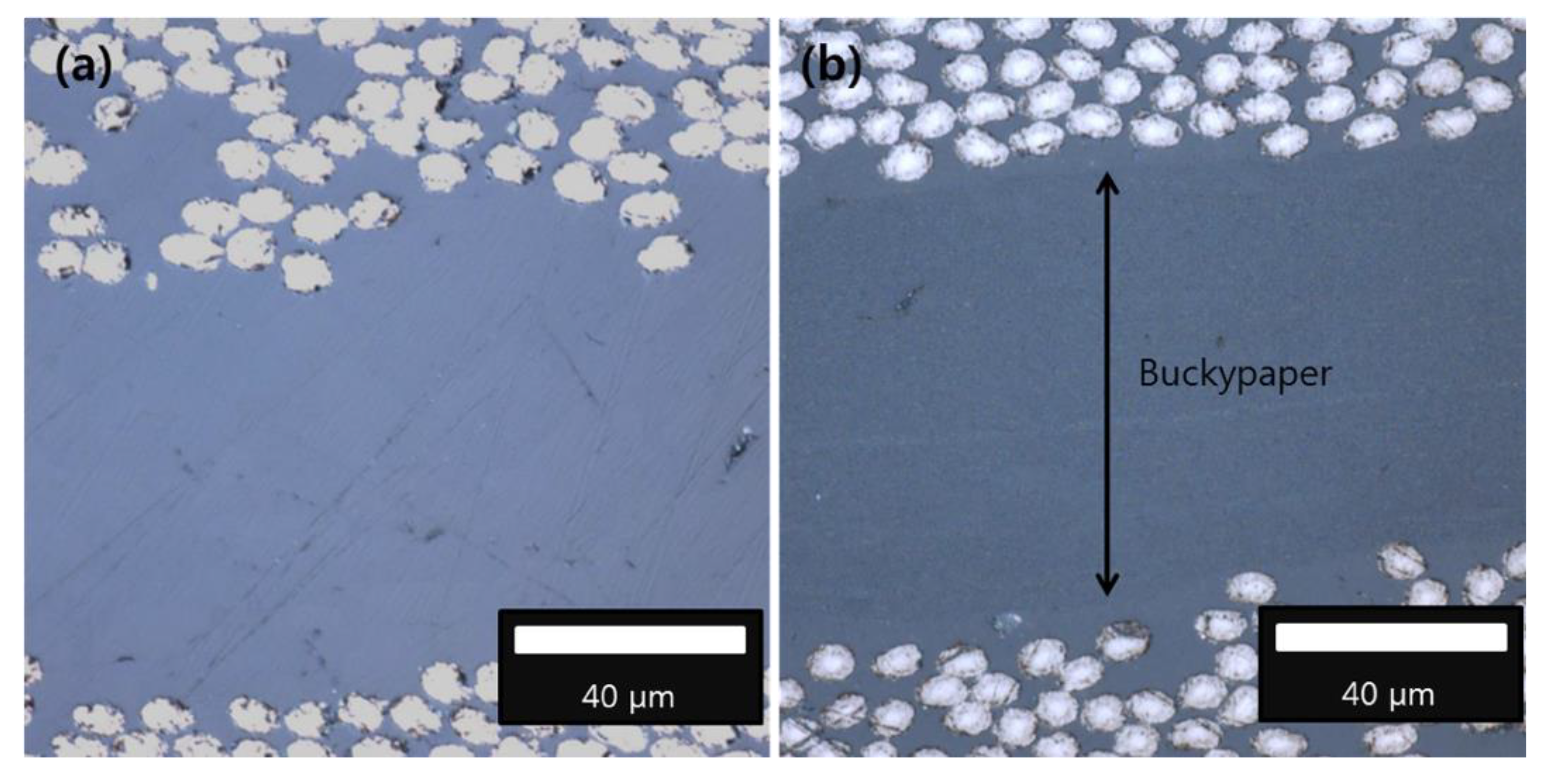 Applsci 11 06821 g008